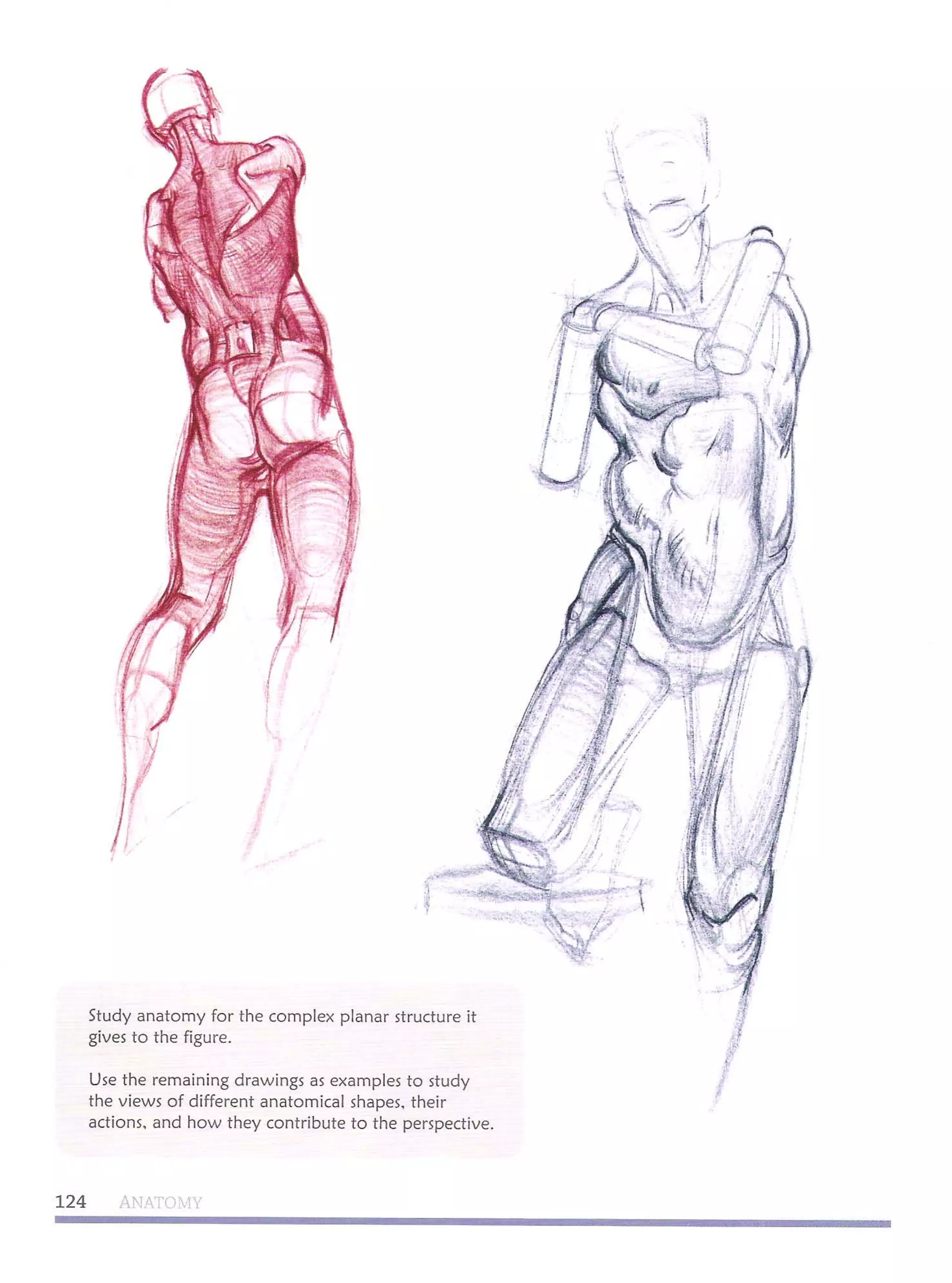 Michael hampton  figure drawing - design and invention