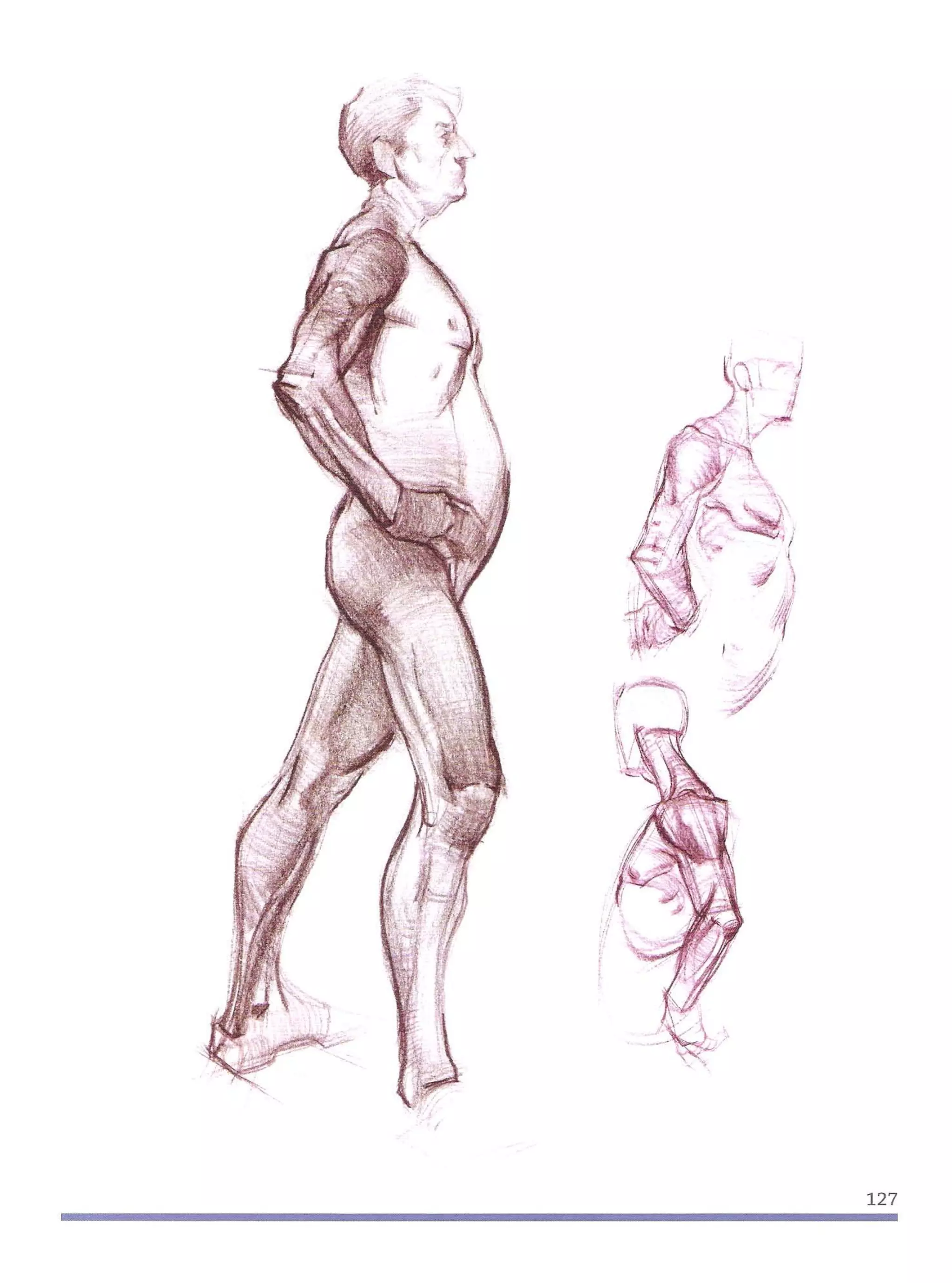 Michael hampton  figure drawing - design and invention