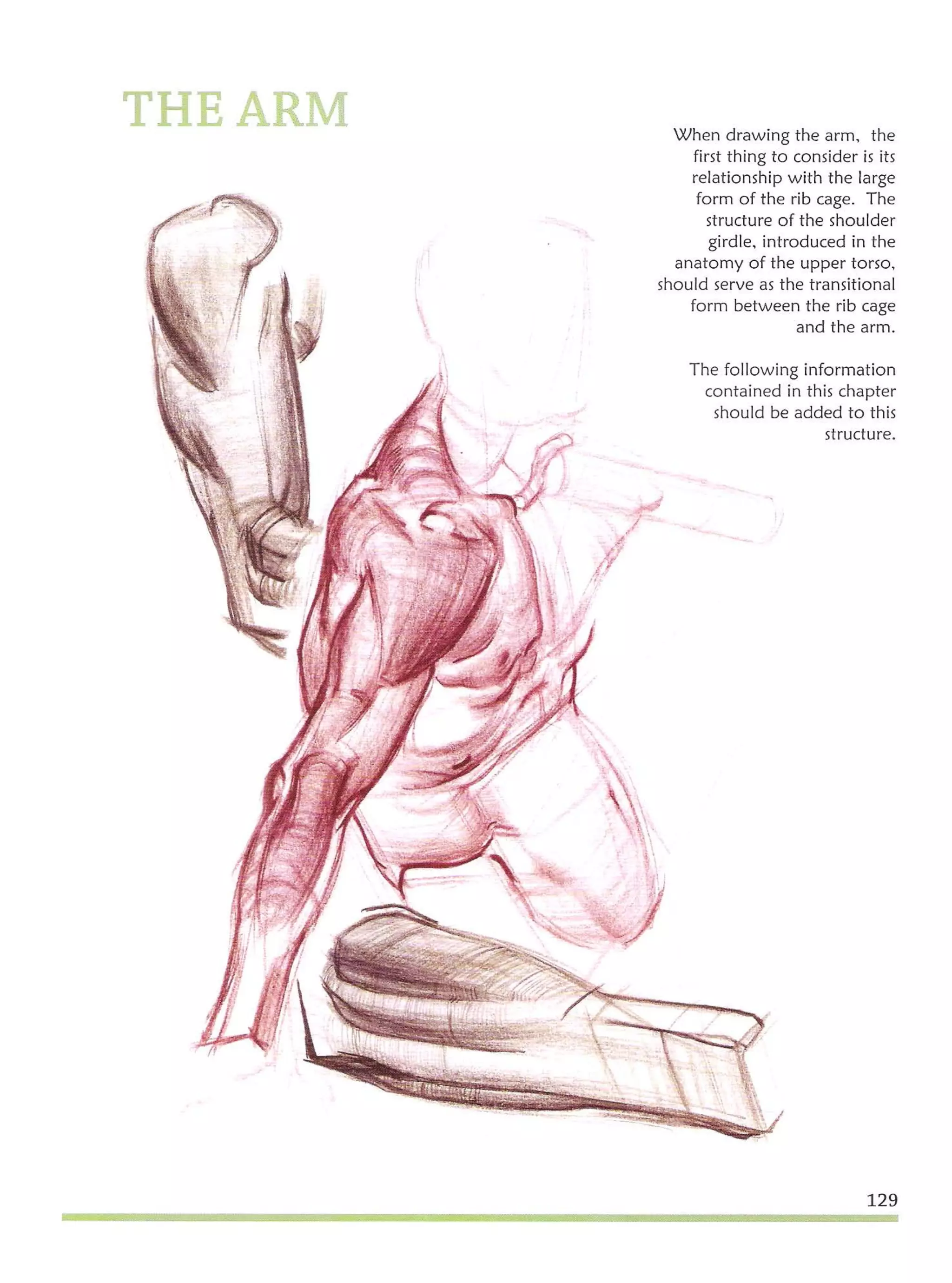 Michael hampton  figure drawing - design and invention