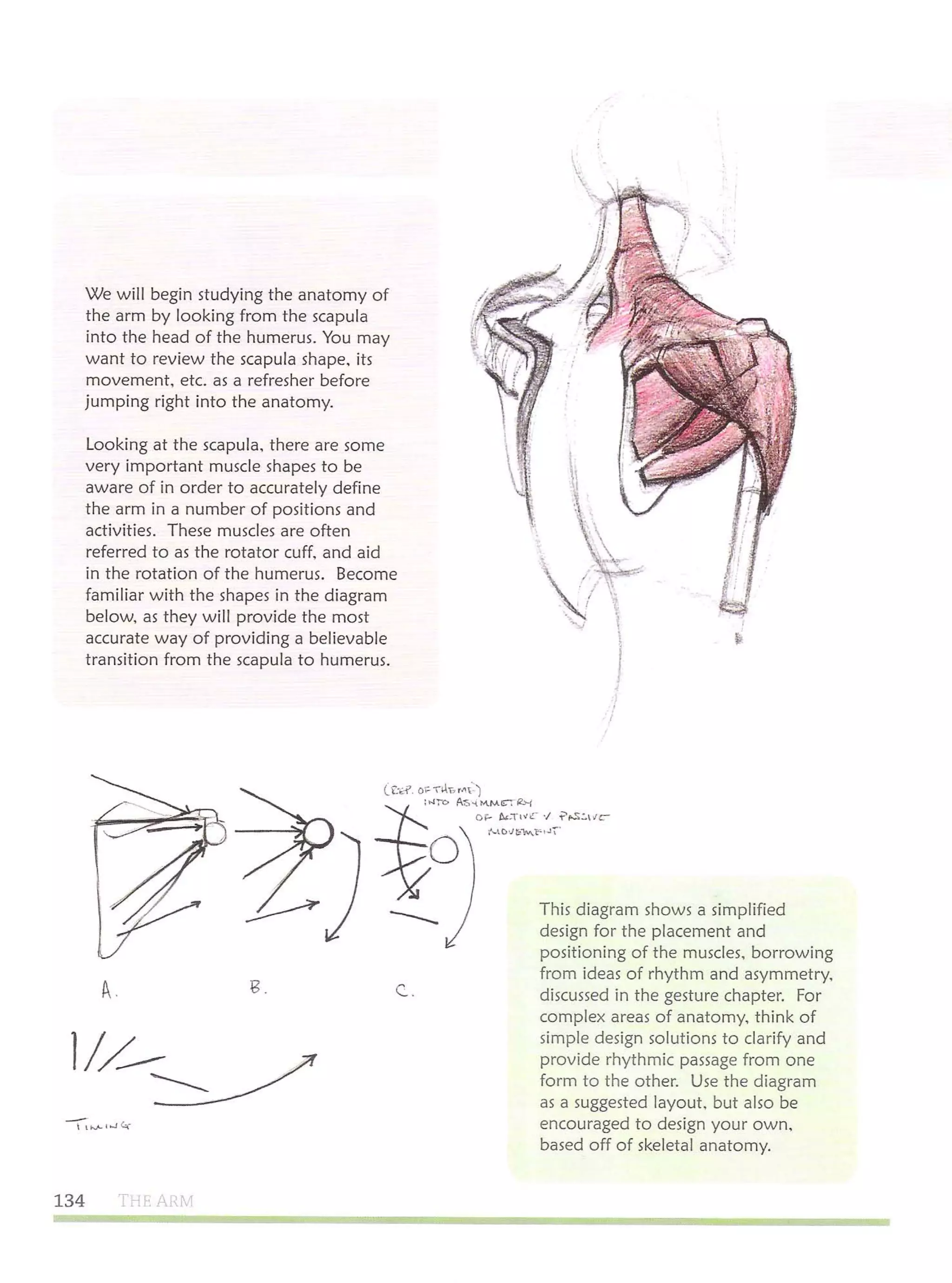 Michael hampton  figure drawing - design and invention