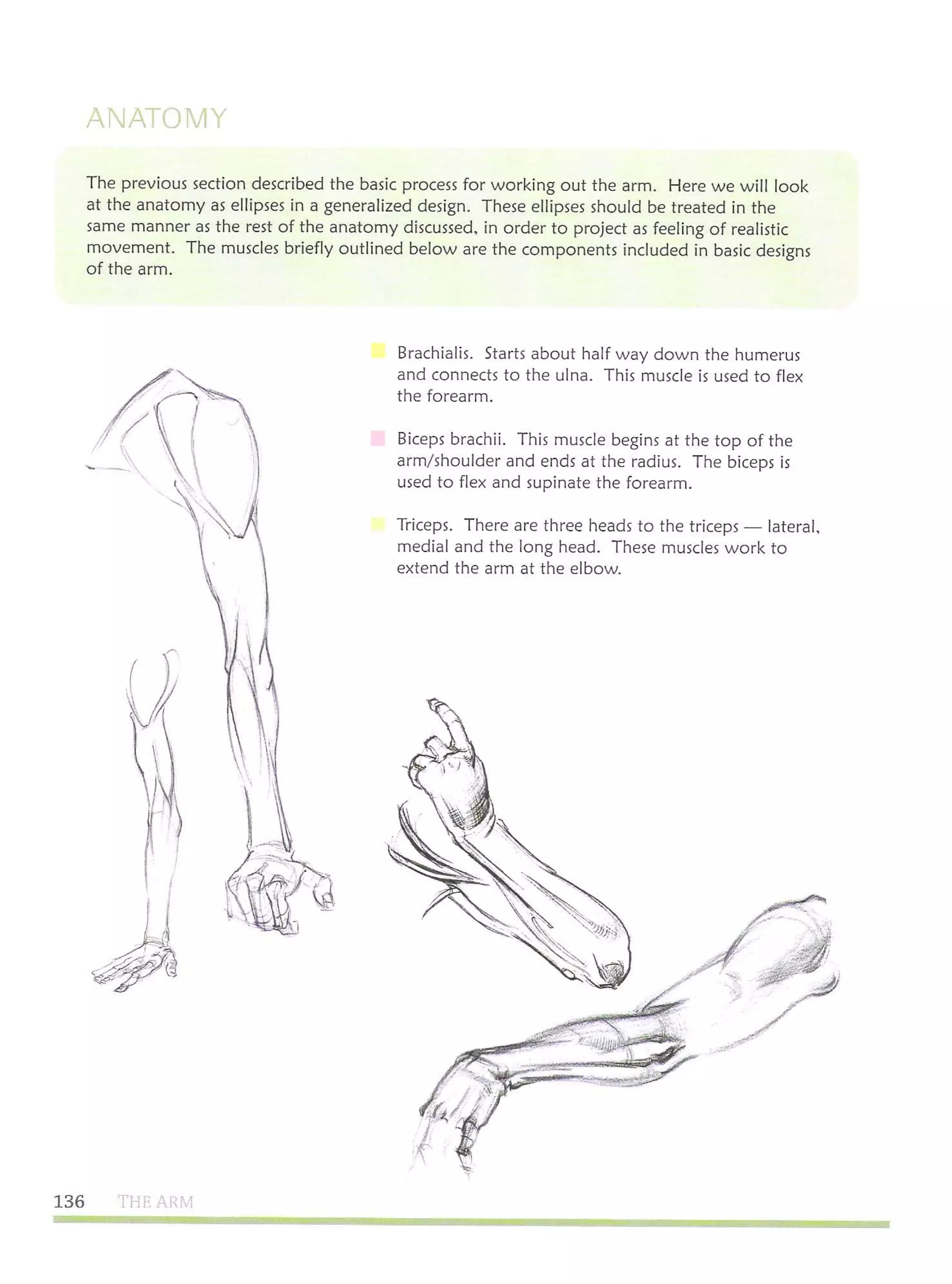 Michael hampton  figure drawing - design and invention