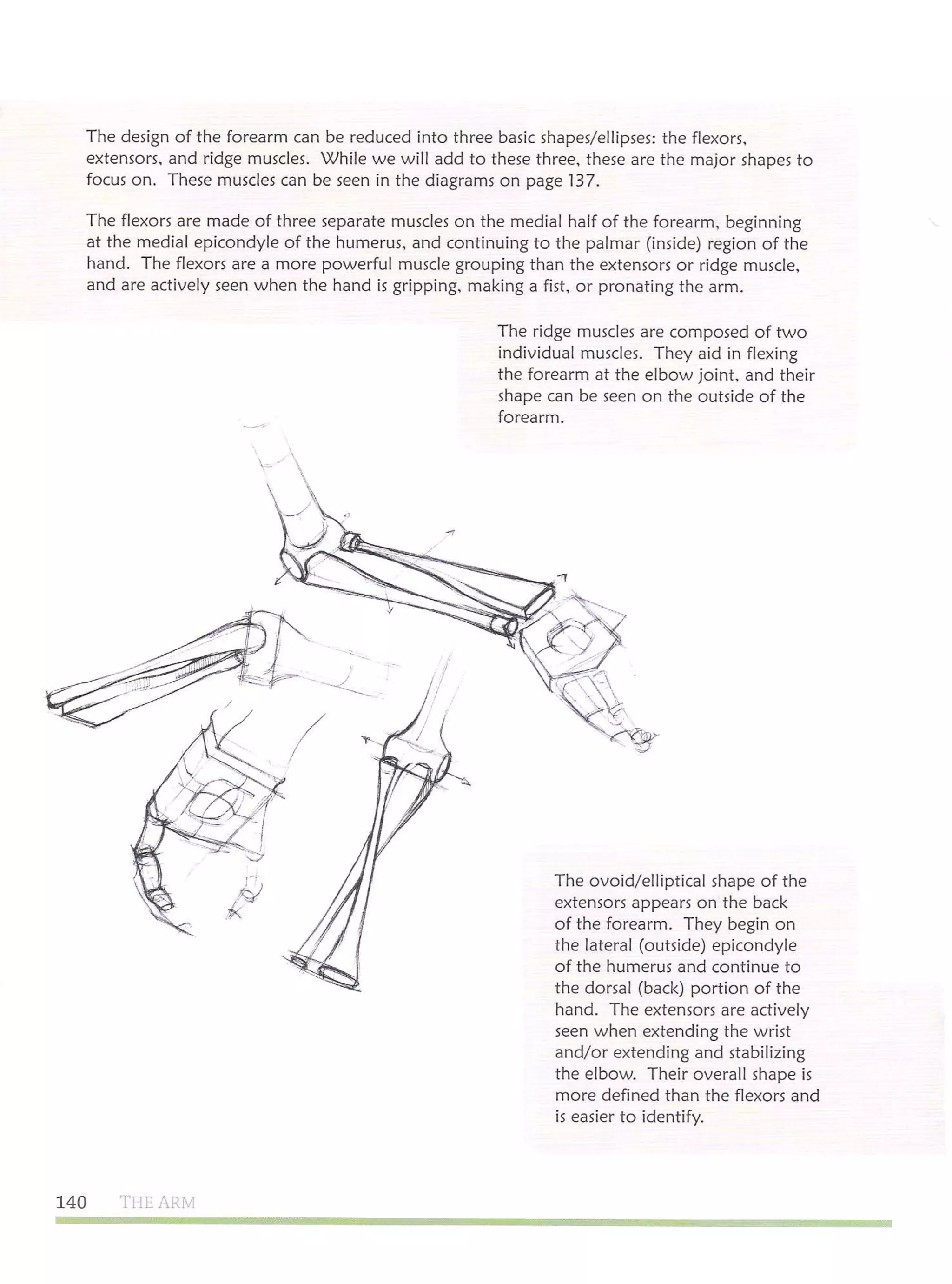 Michael hampton  figure drawing - design and invention