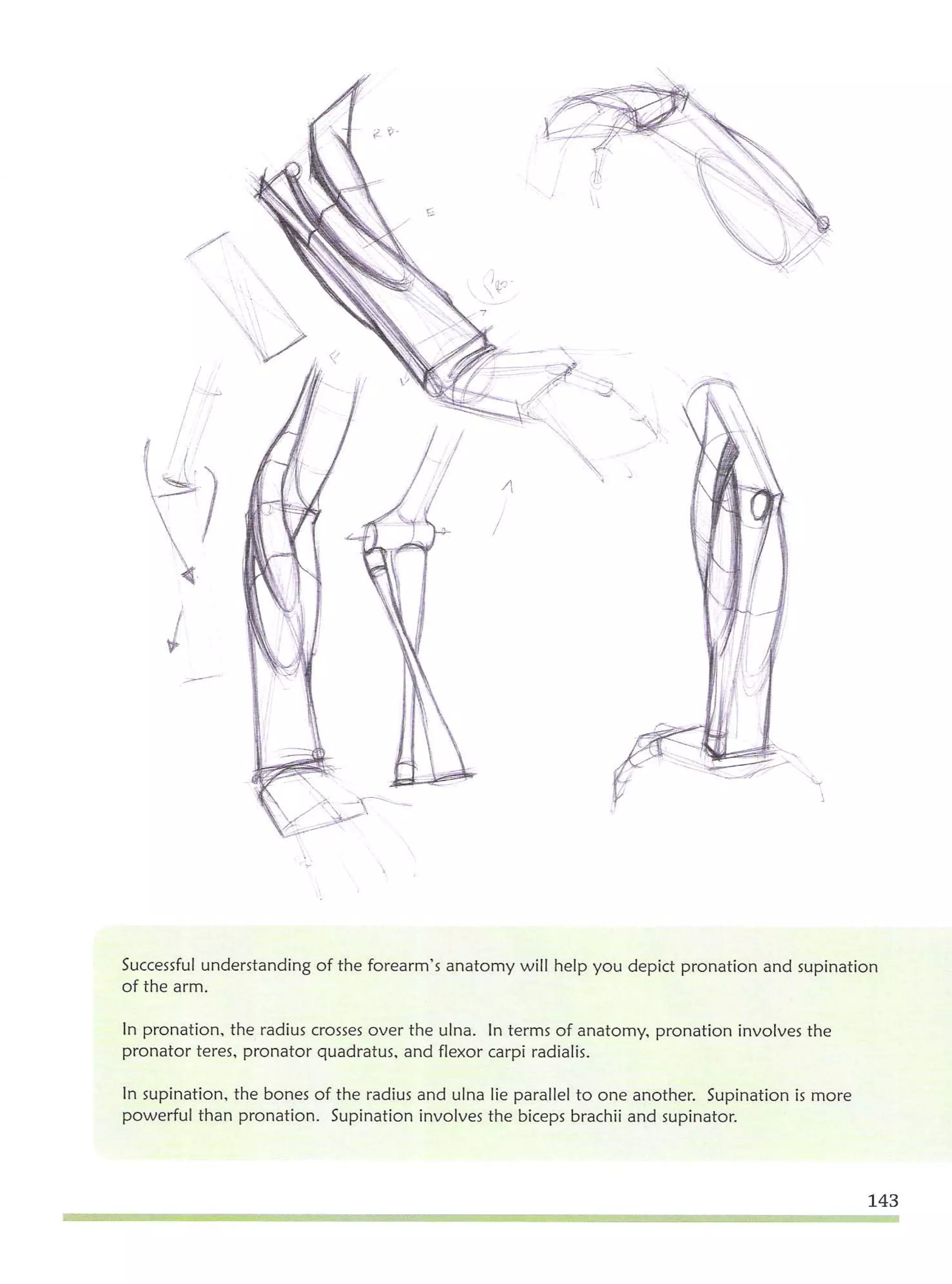 Michael hampton  figure drawing - design and invention
