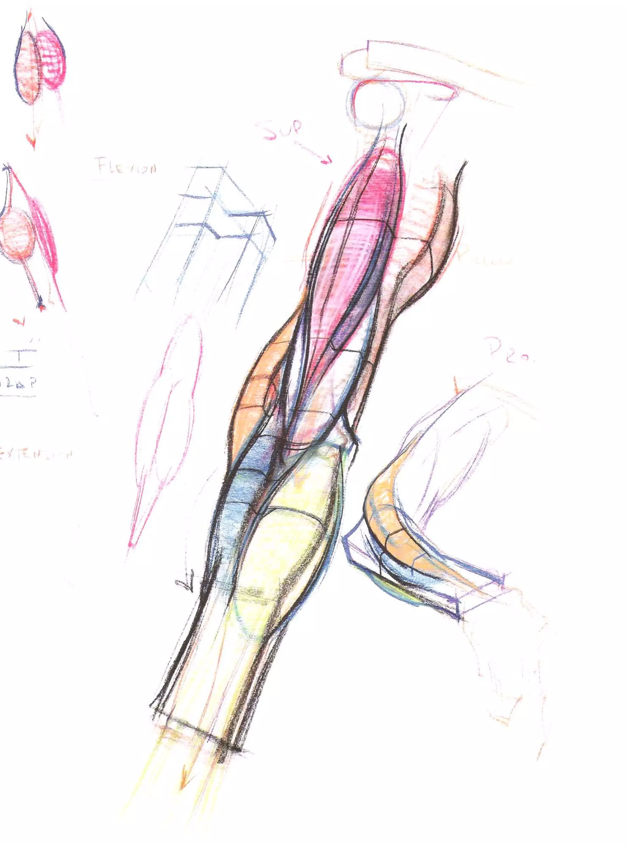 Michael hampton  figure drawing - design and invention