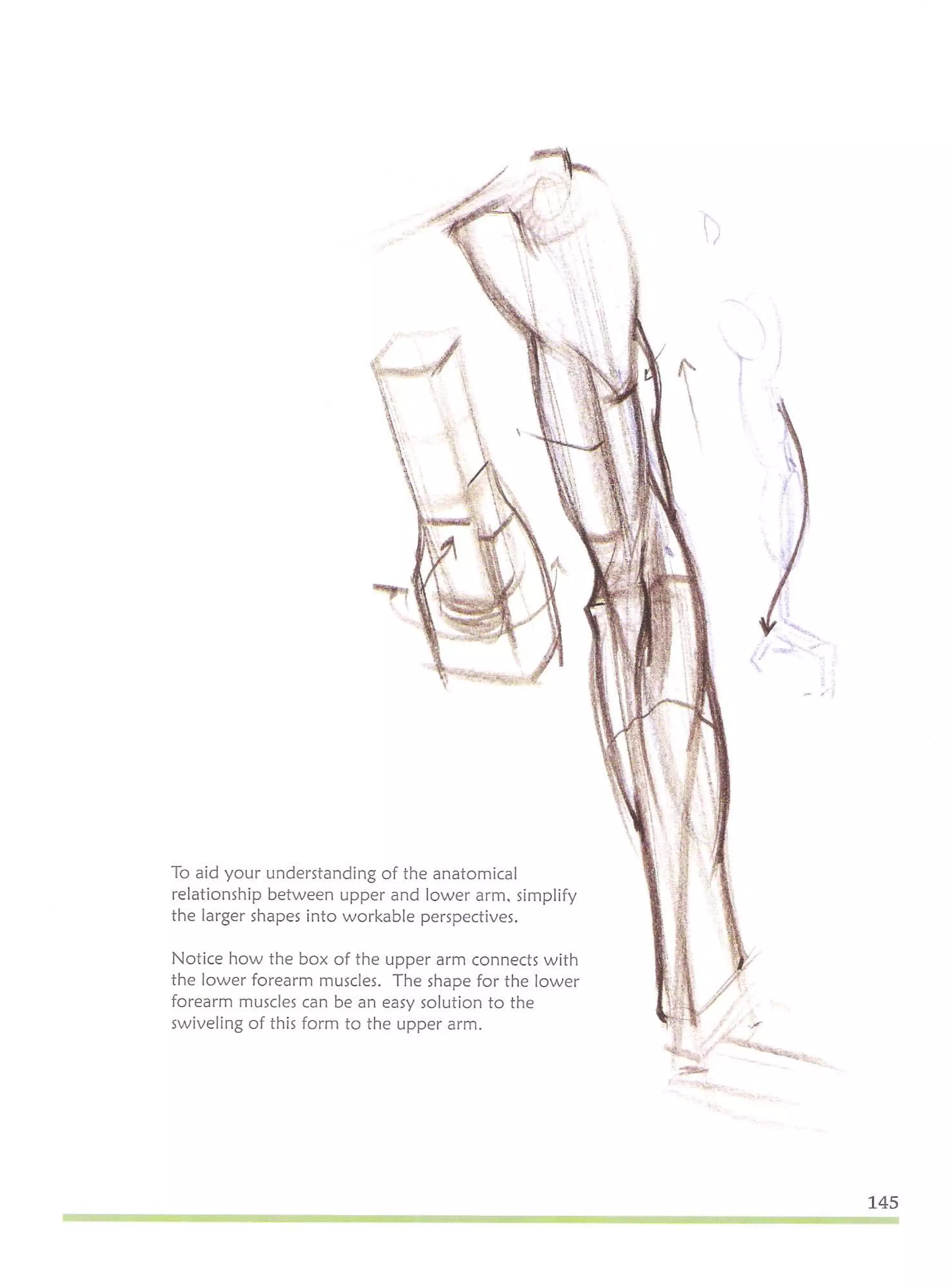 Michael hampton  figure drawing - design and invention