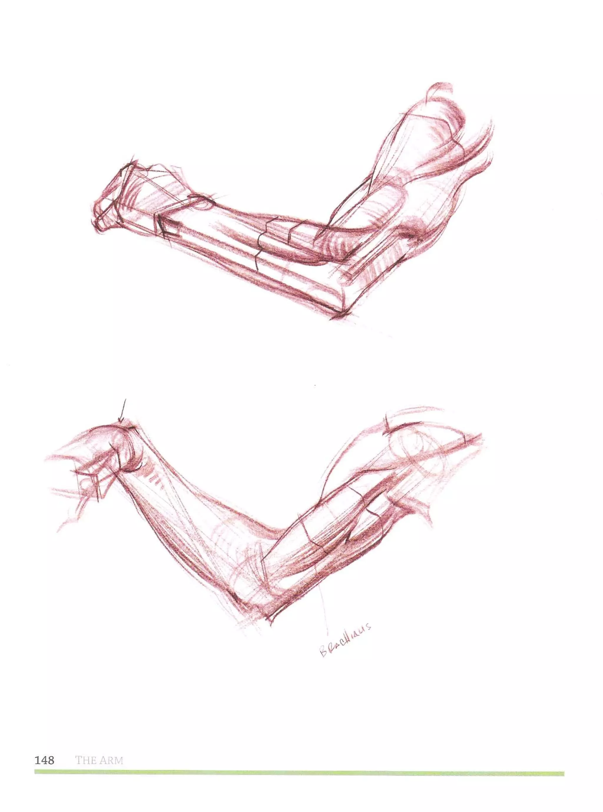 Michael hampton  figure drawing - design and invention