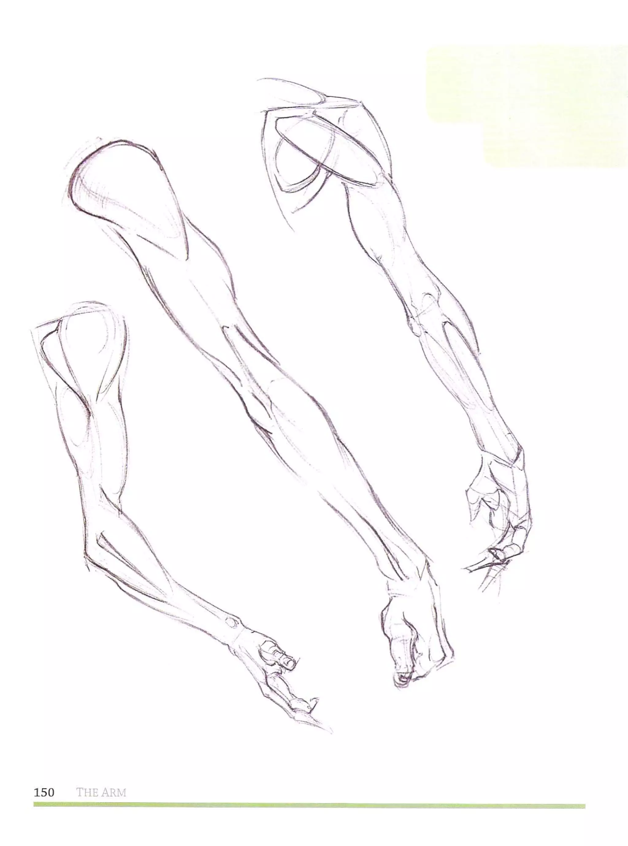 Michael hampton  figure drawing - design and invention