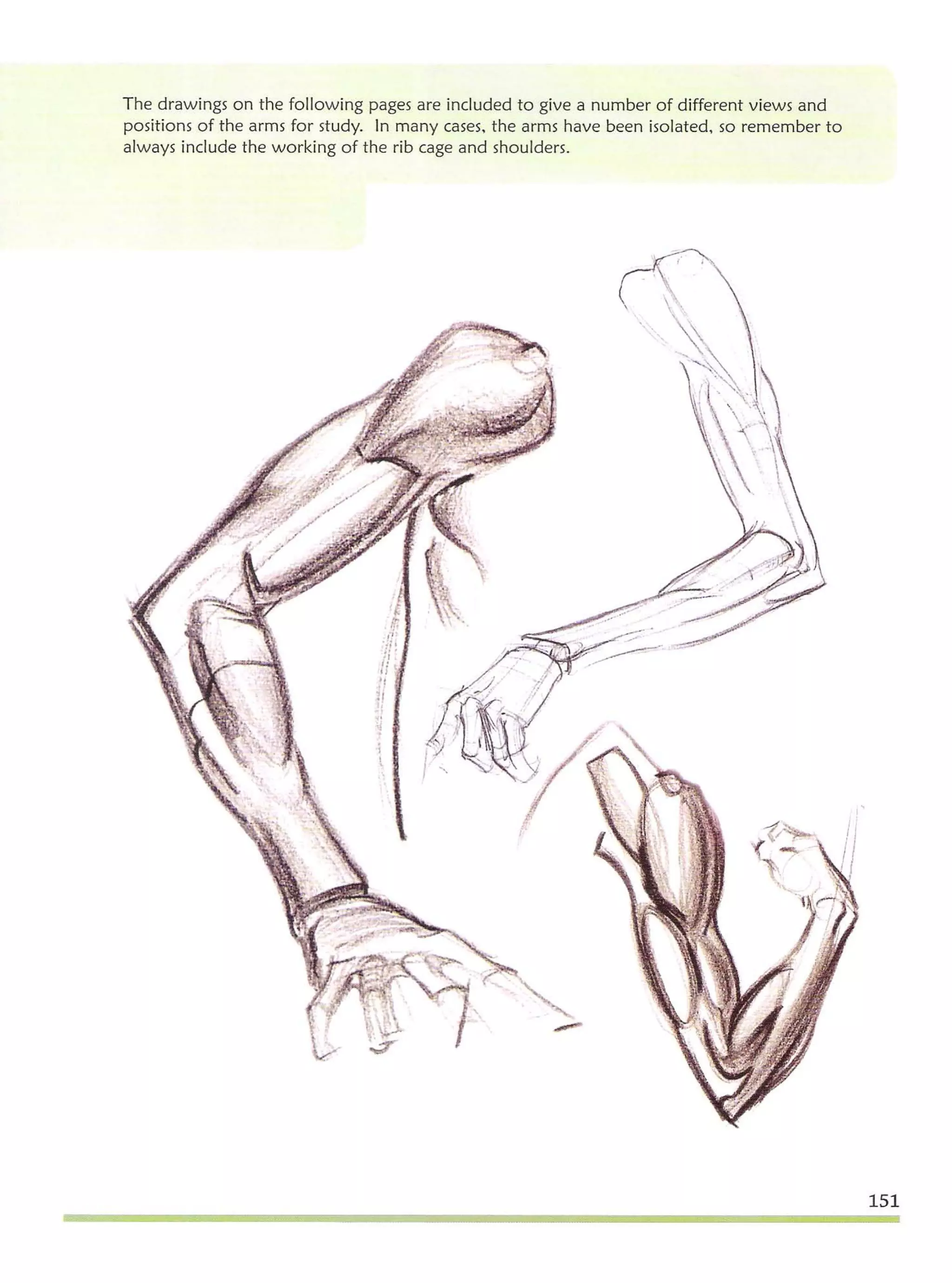 Michael hampton  figure drawing - design and invention