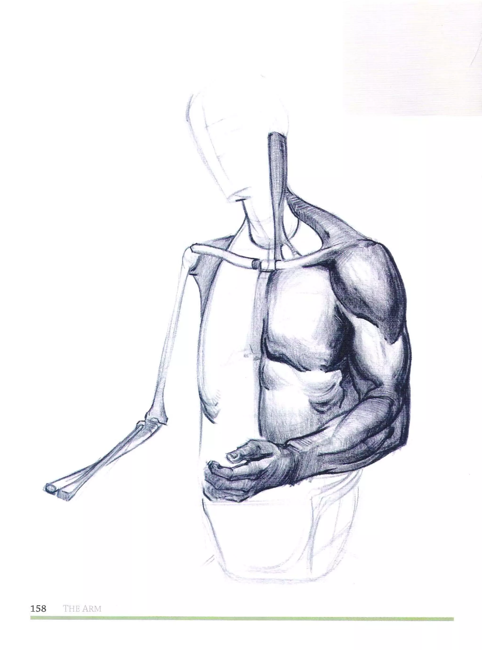 Michael hampton  figure drawing - design and invention