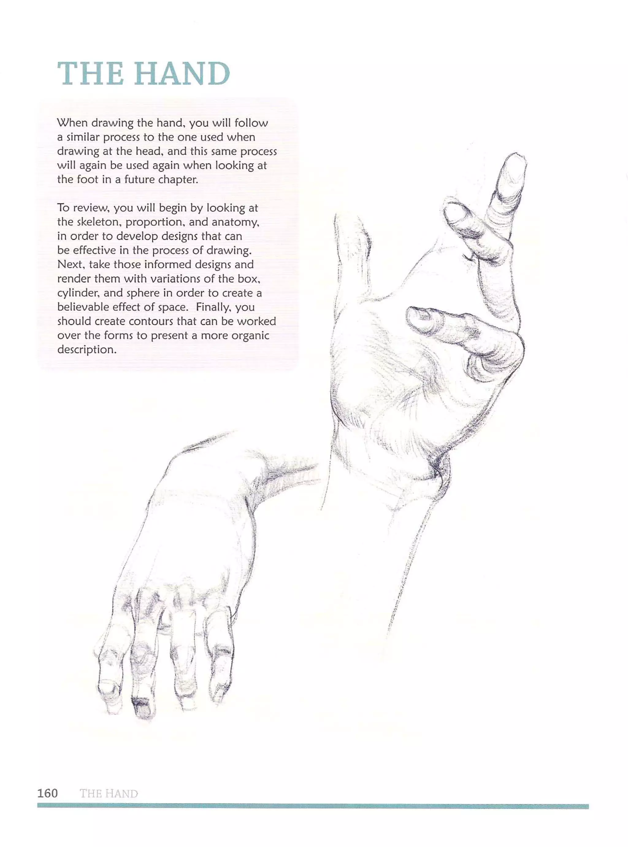 Michael hampton  figure drawing - design and invention