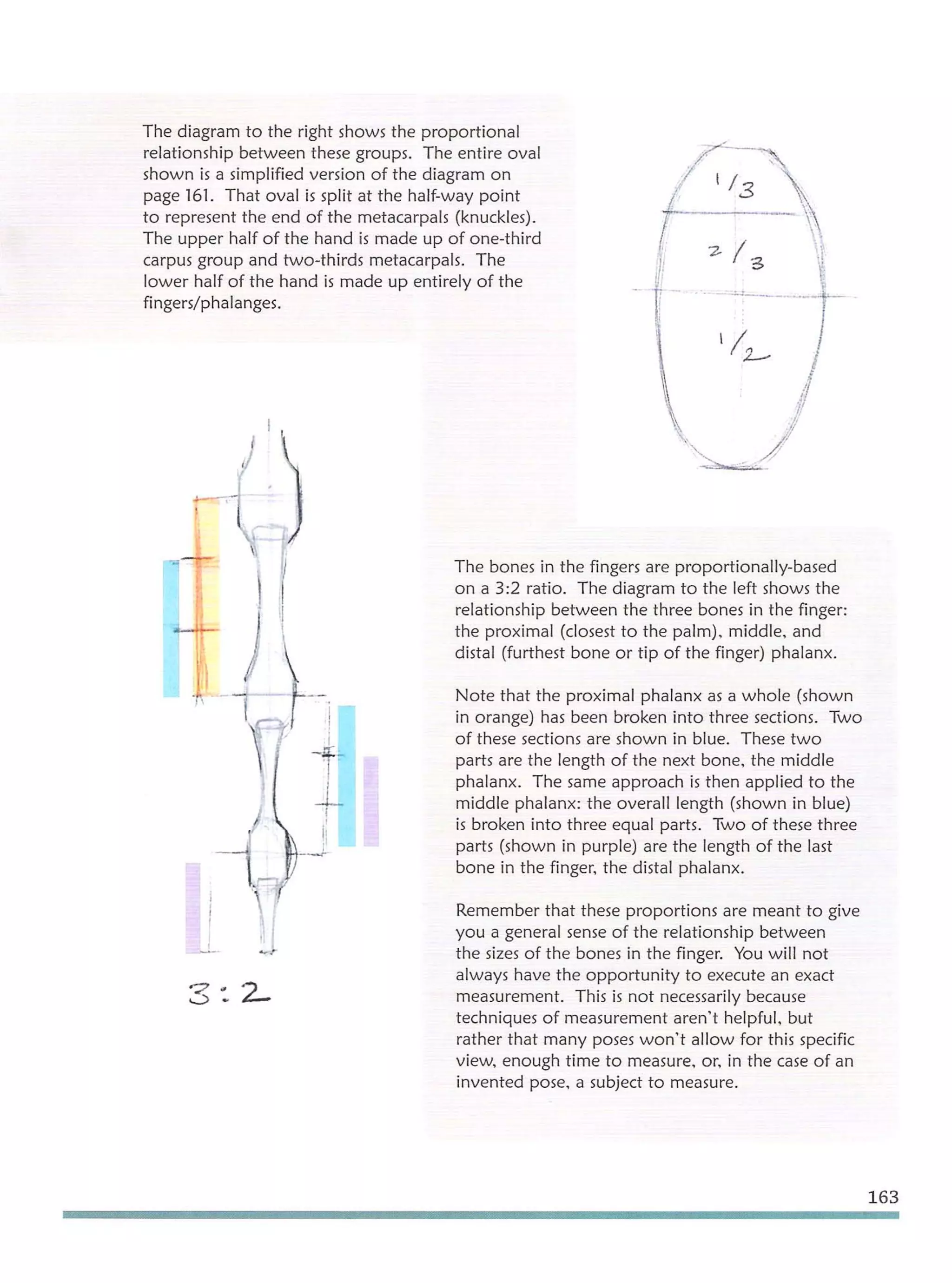 Michael hampton  figure drawing - design and invention