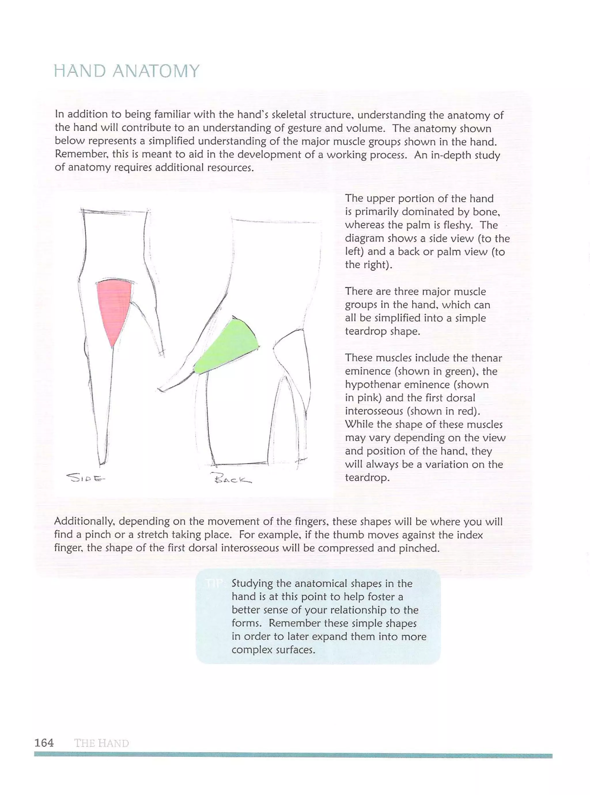 Michael hampton  figure drawing - design and invention