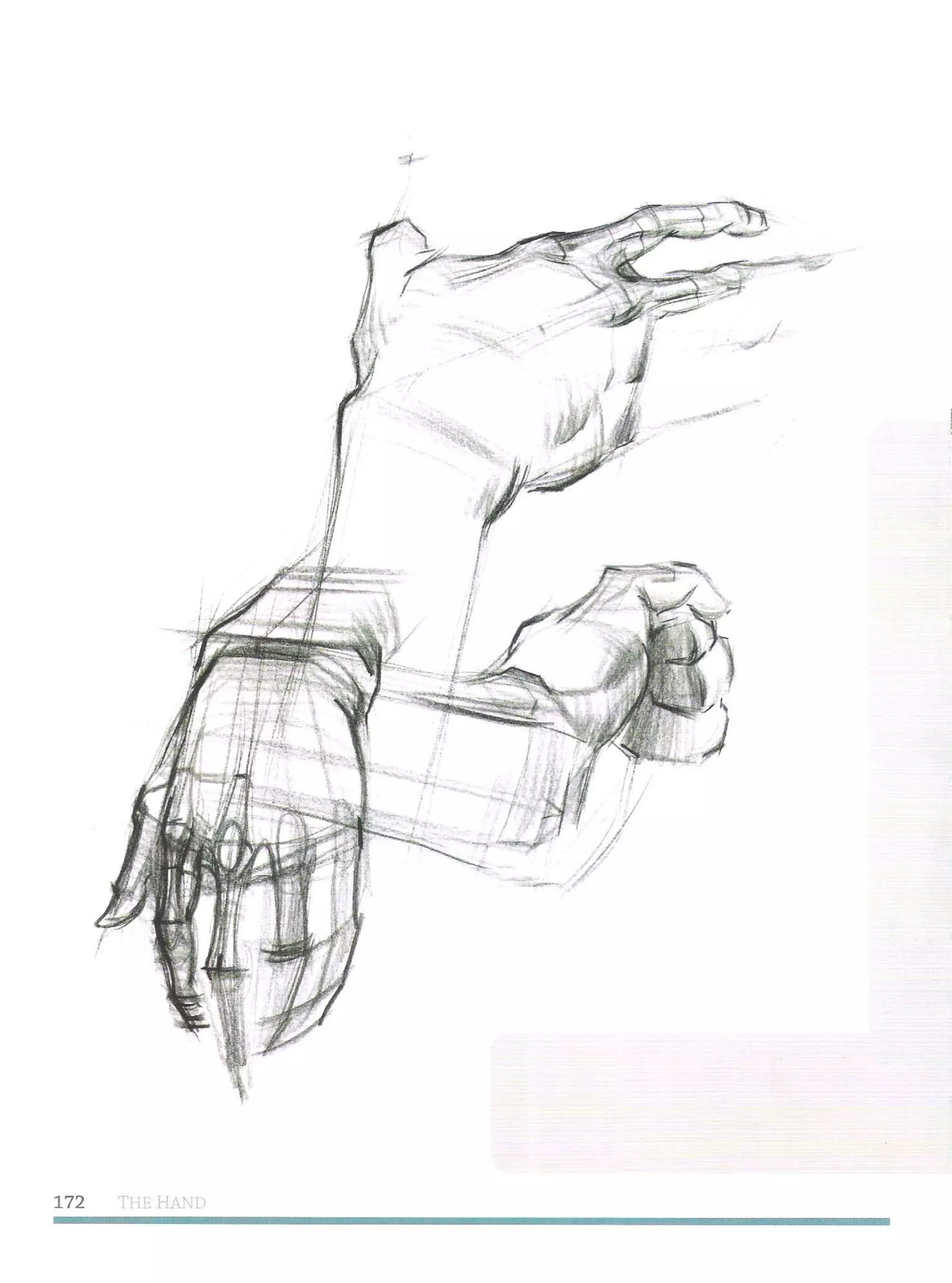 Michael hampton  figure drawing - design and invention