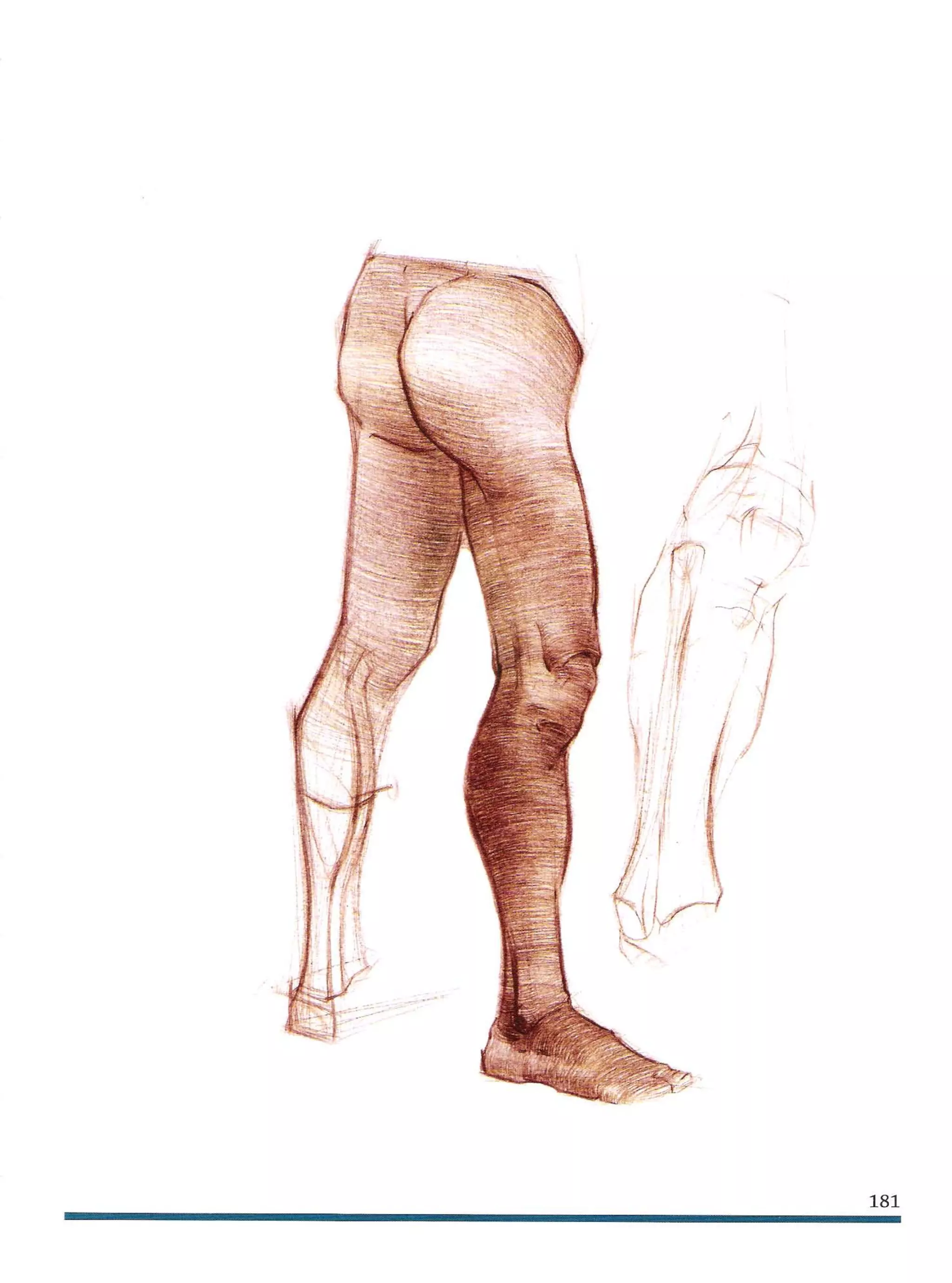 Michael hampton  figure drawing - design and invention