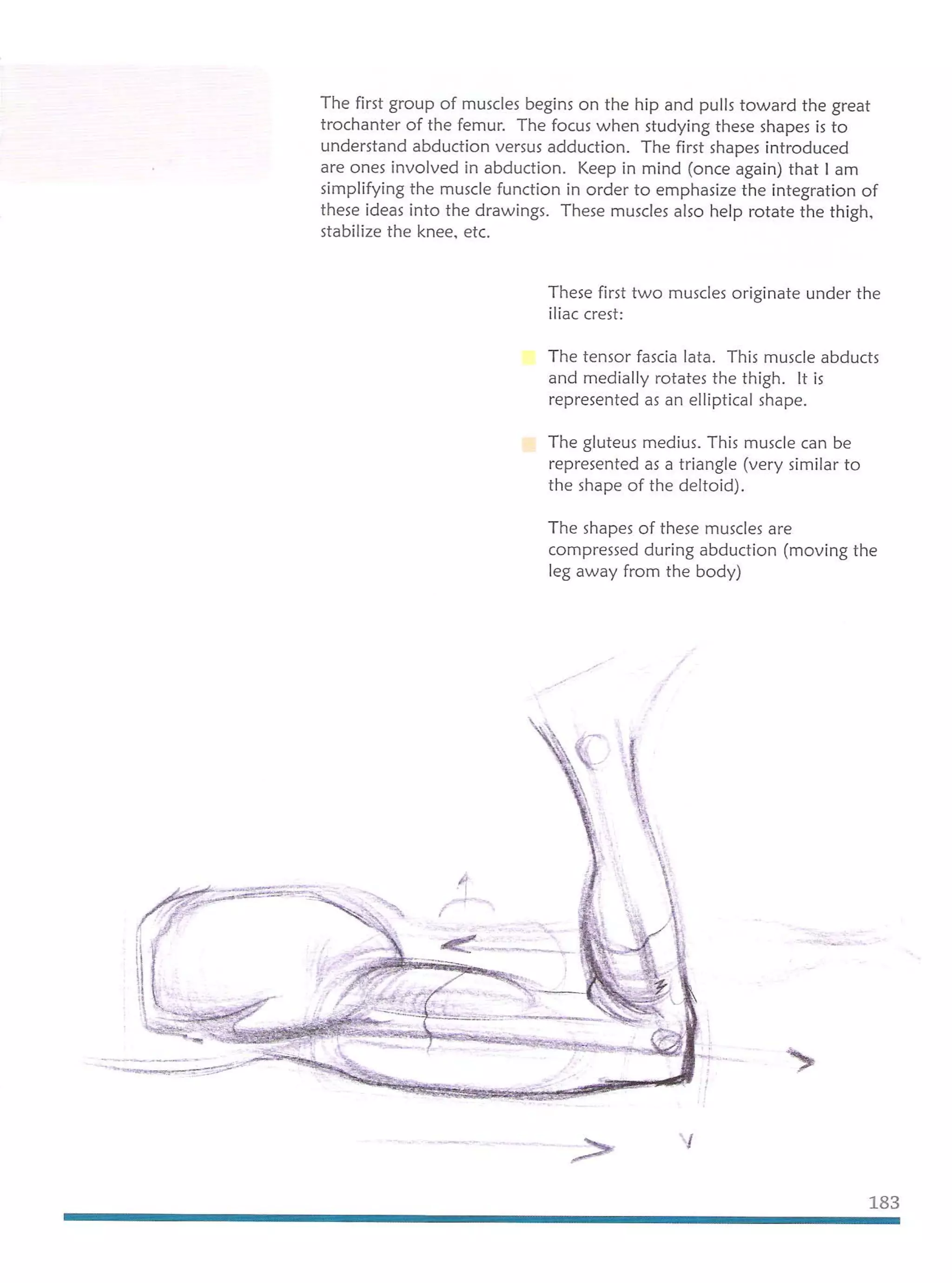 Michael hampton  figure drawing - design and invention