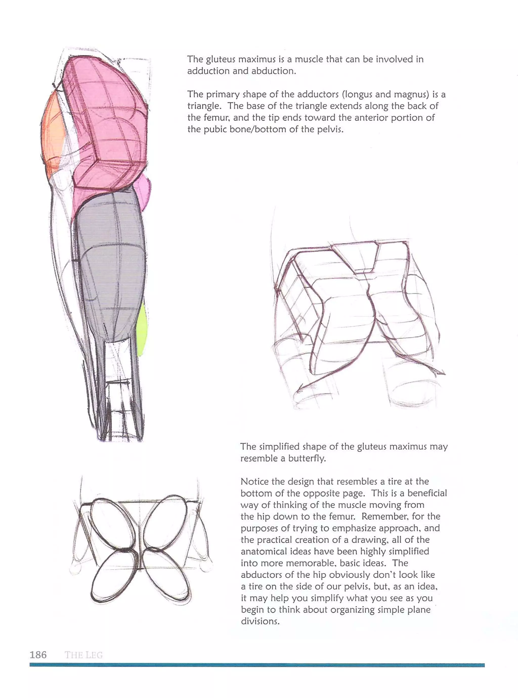 Michael hampton  figure drawing - design and invention