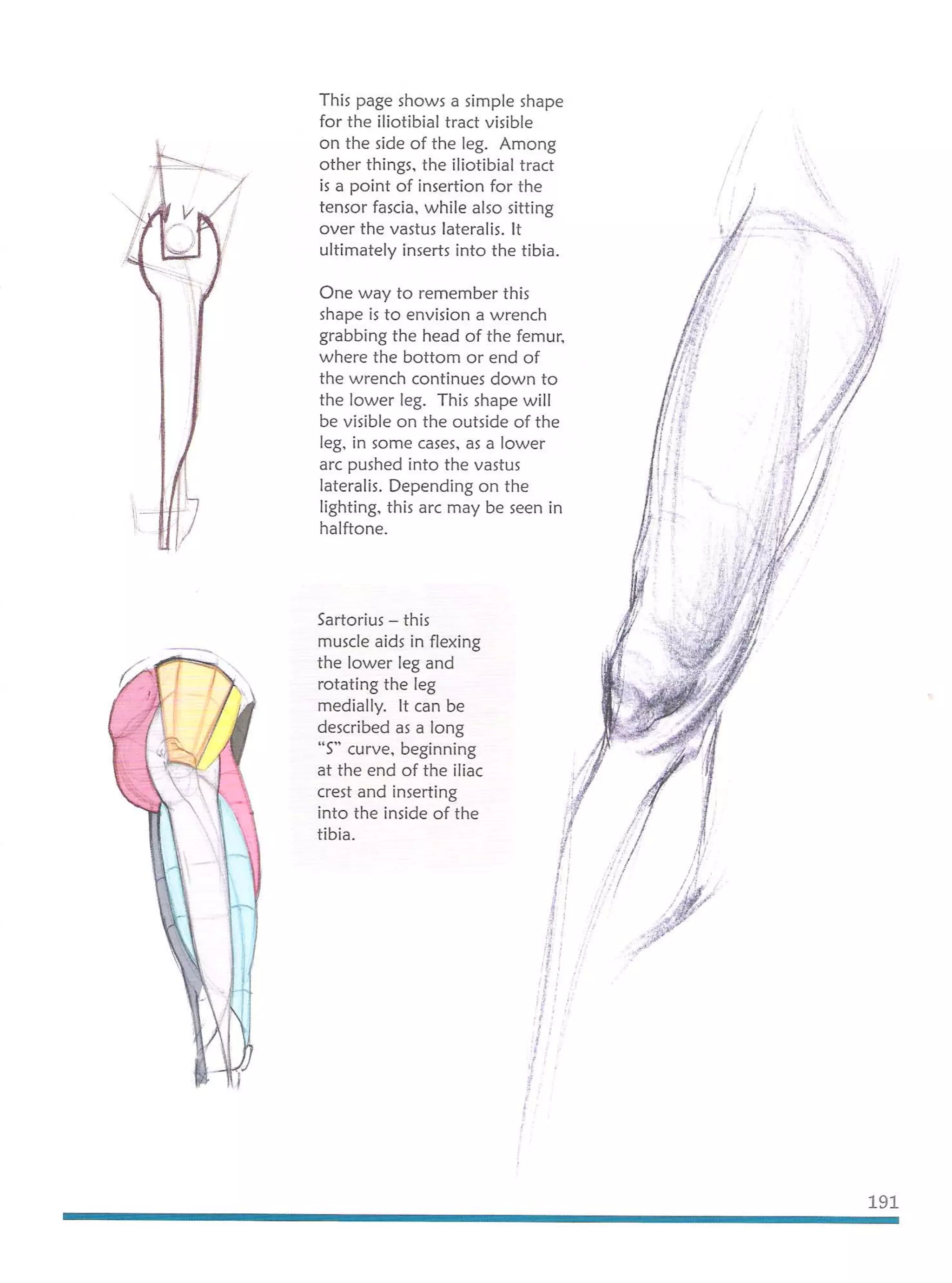 Michael hampton  figure drawing - design and invention