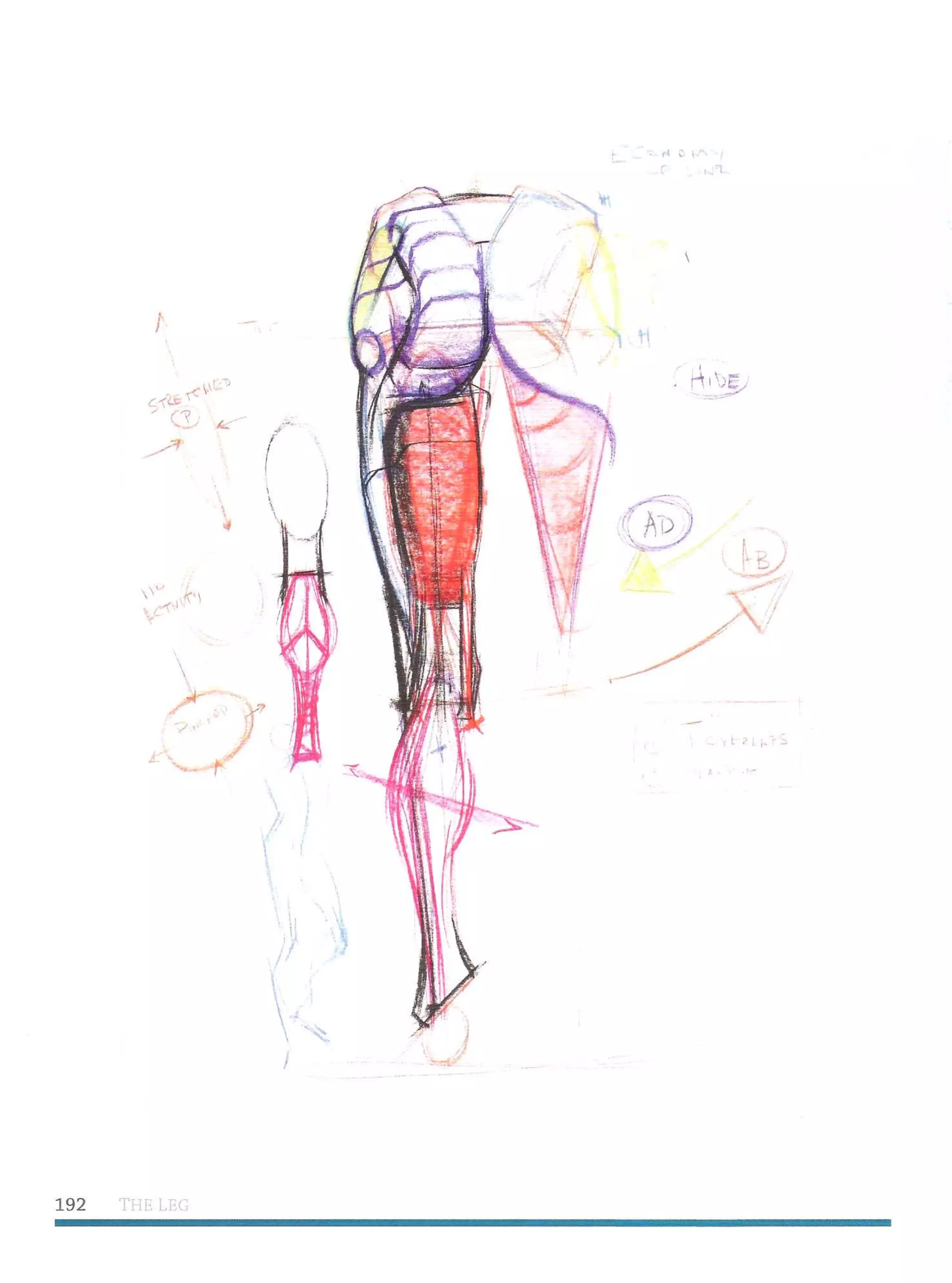 Michael hampton  figure drawing - design and invention