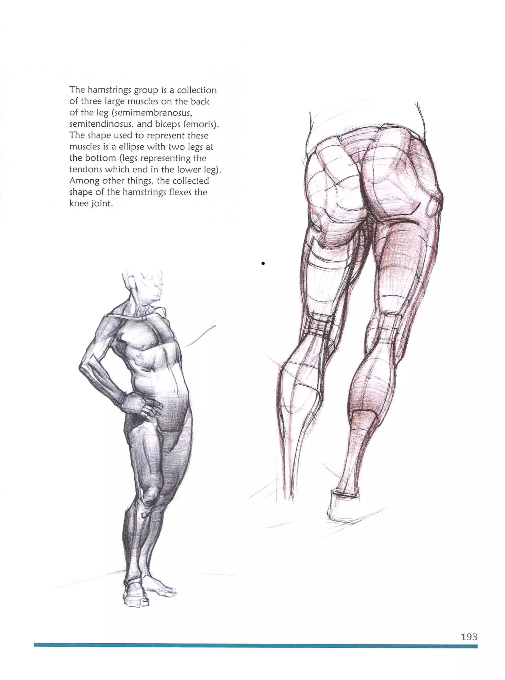 Michael hampton  figure drawing - design and invention