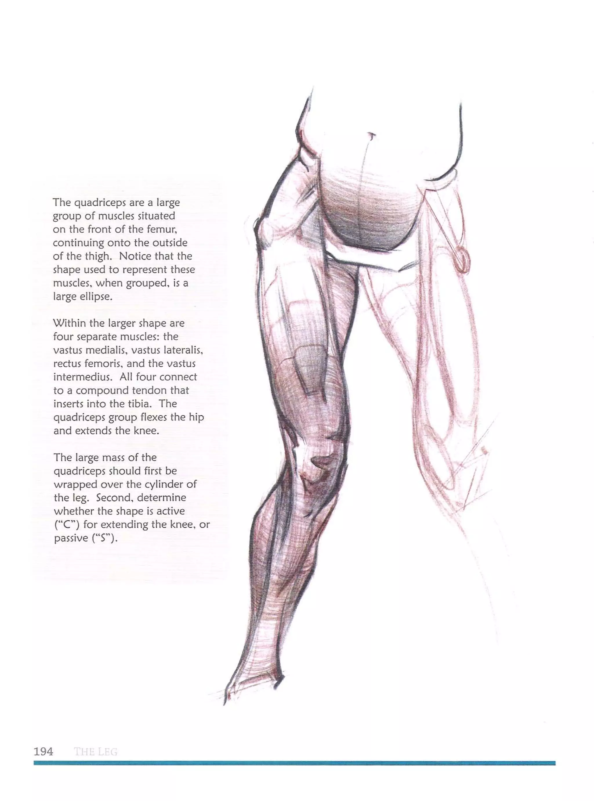 Michael hampton  figure drawing - design and invention