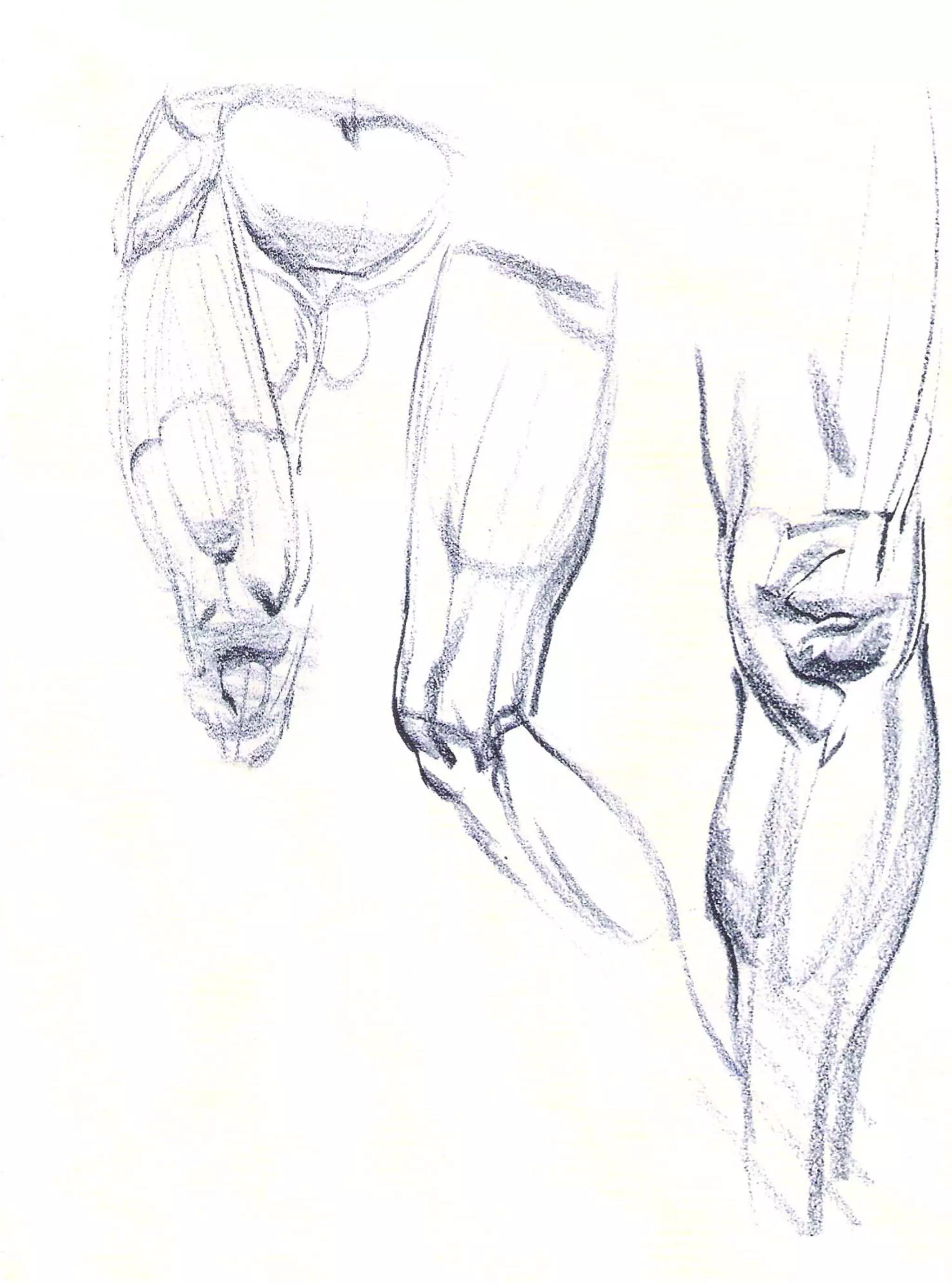 Michael hampton  figure drawing - design and invention