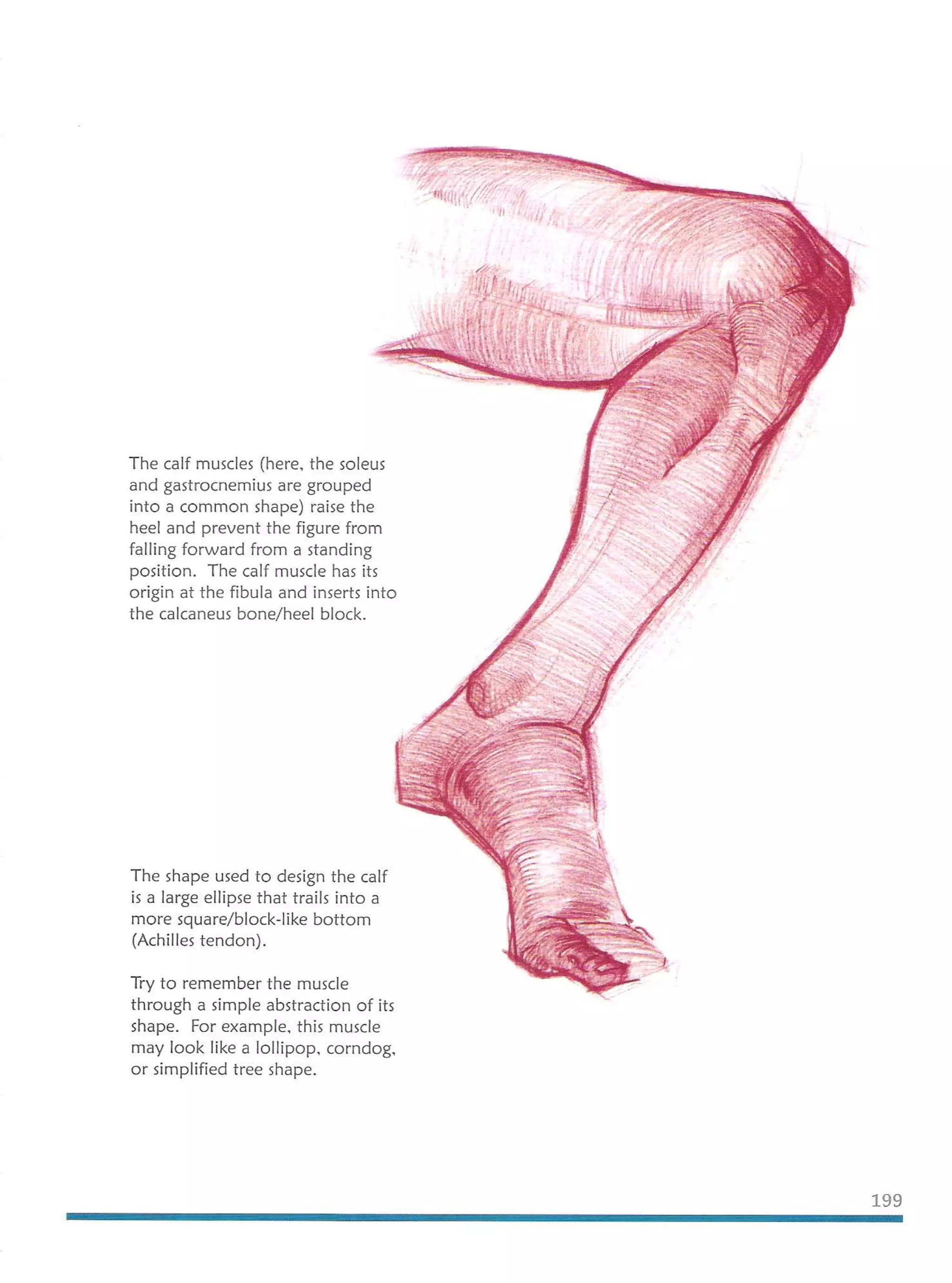 Michael hampton  figure drawing - design and invention