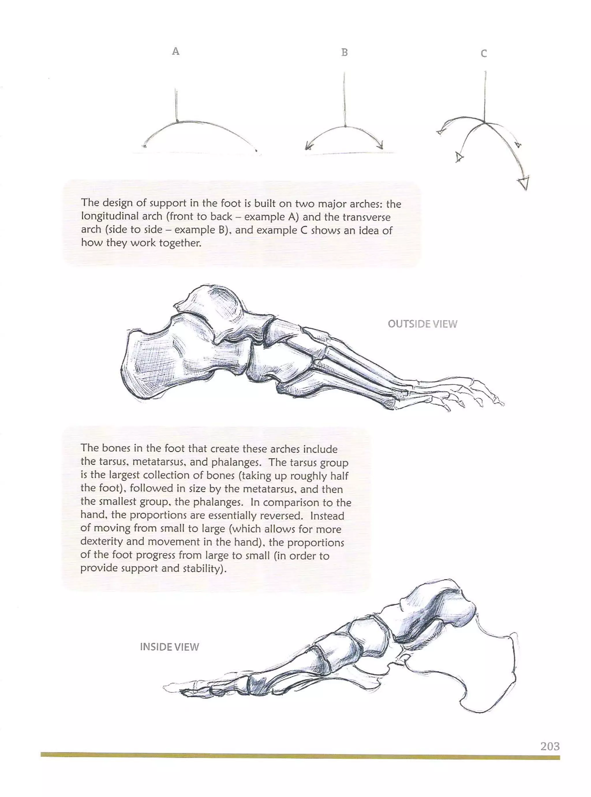 Michael hampton  figure drawing - design and invention