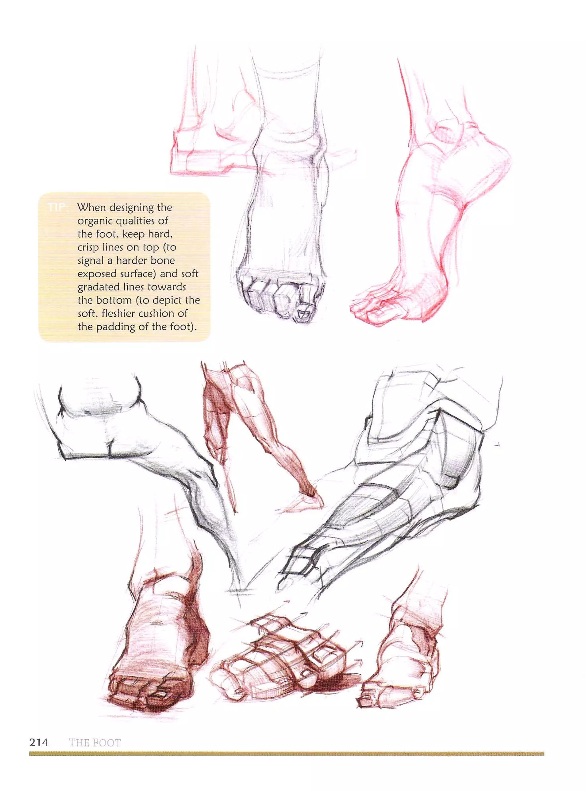 Michael hampton  figure drawing - design and invention