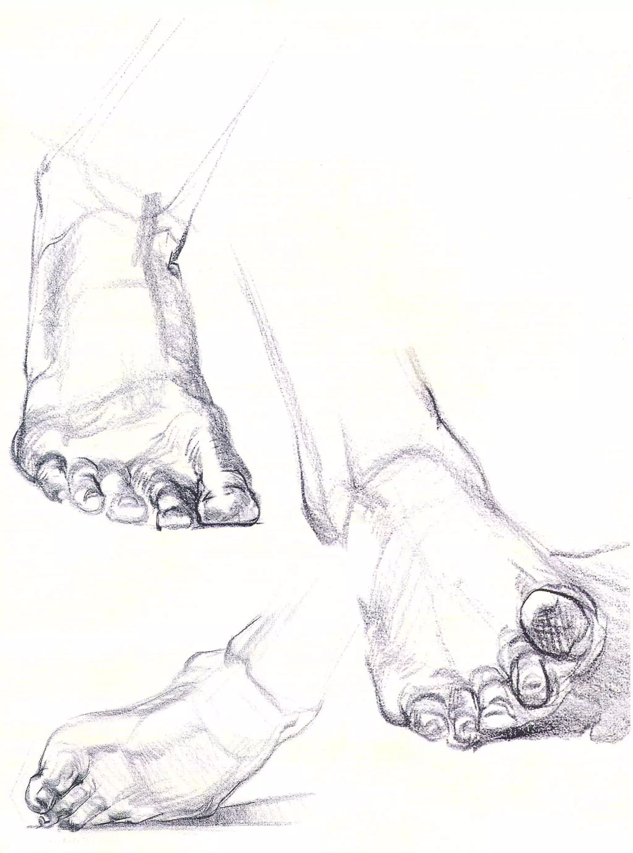 Michael hampton  figure drawing - design and invention