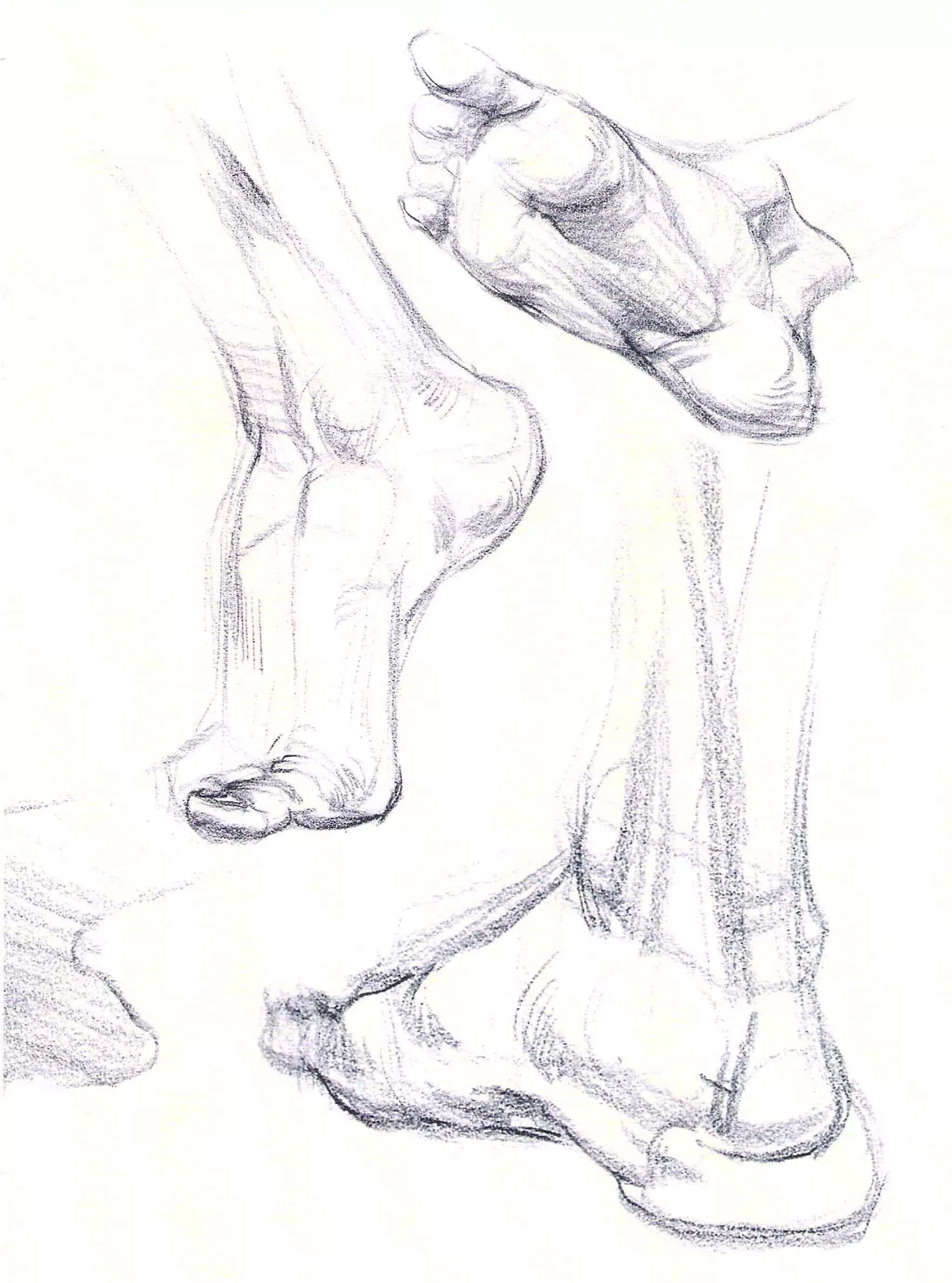 Michael hampton  figure drawing - design and invention