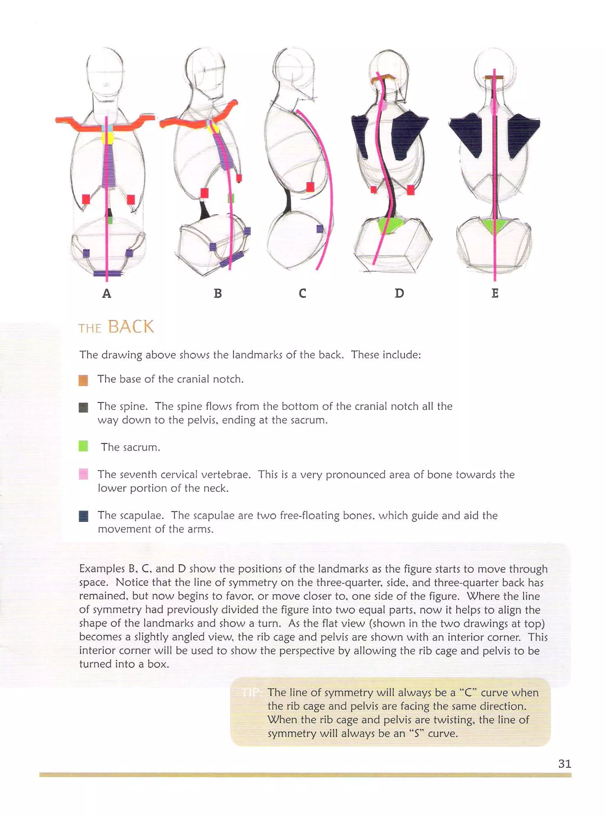 Michael hampton  figure drawing - design and invention