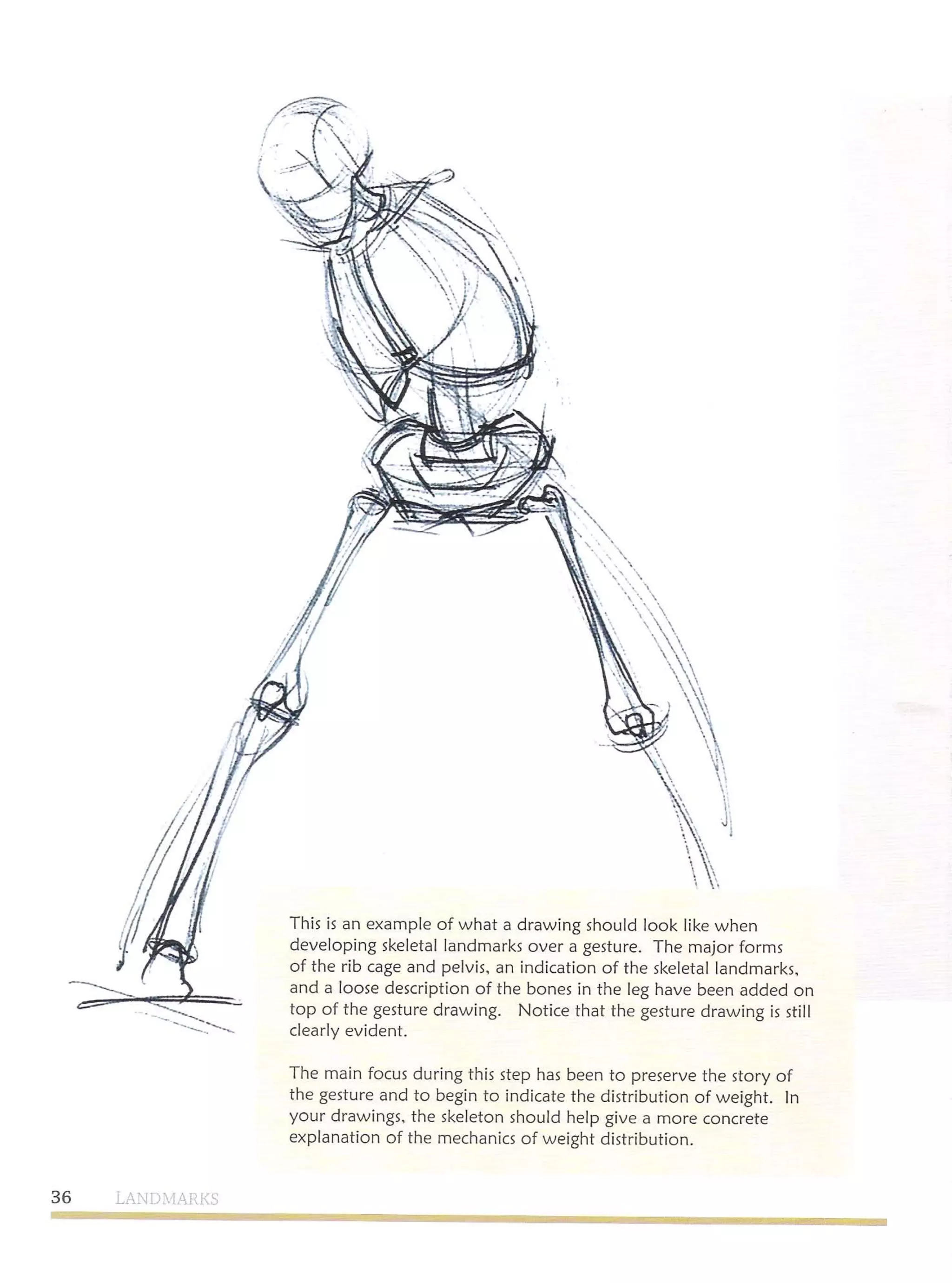 Michael hampton  figure drawing - design and invention