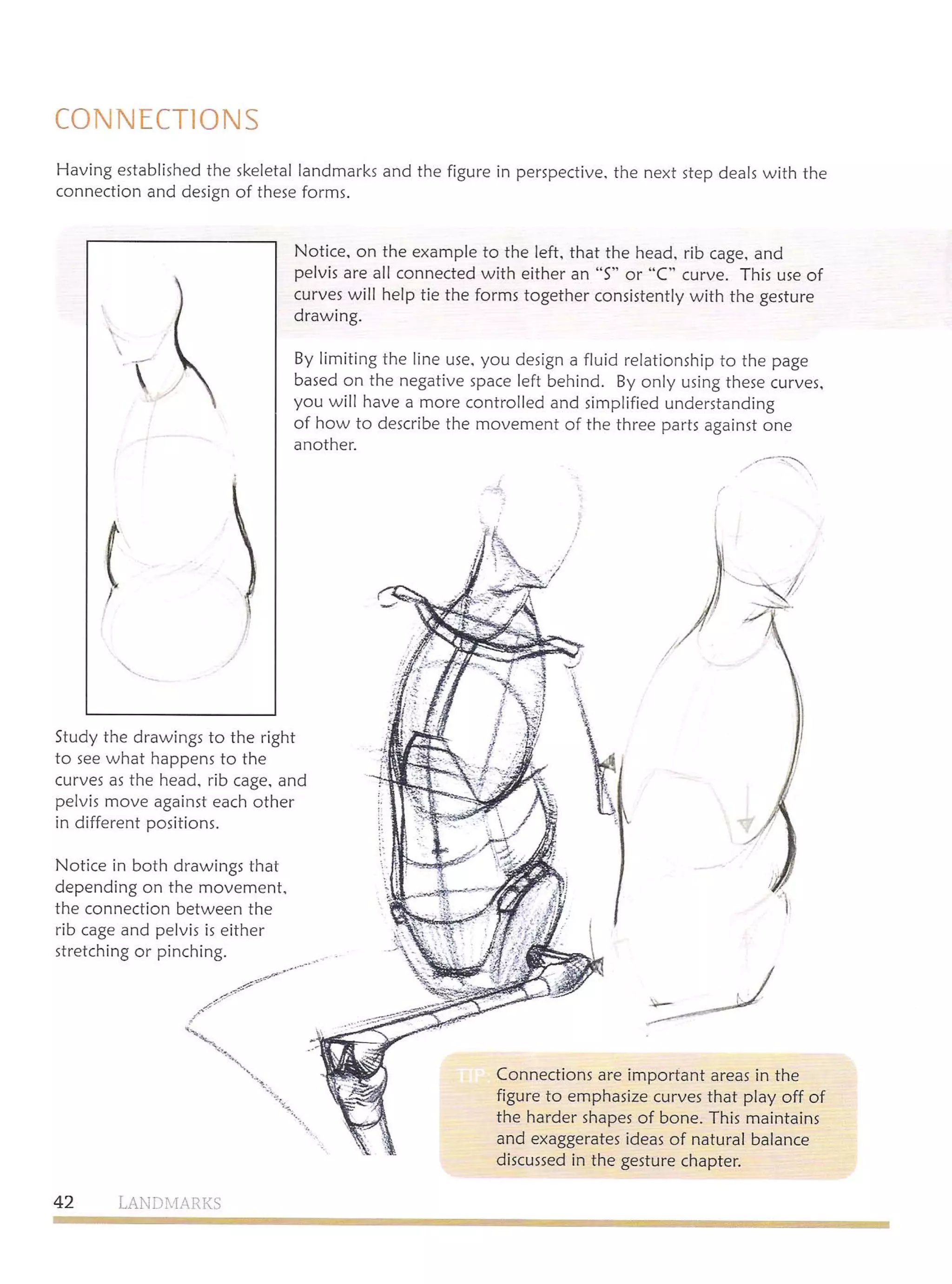 Michael hampton  figure drawing - design and invention