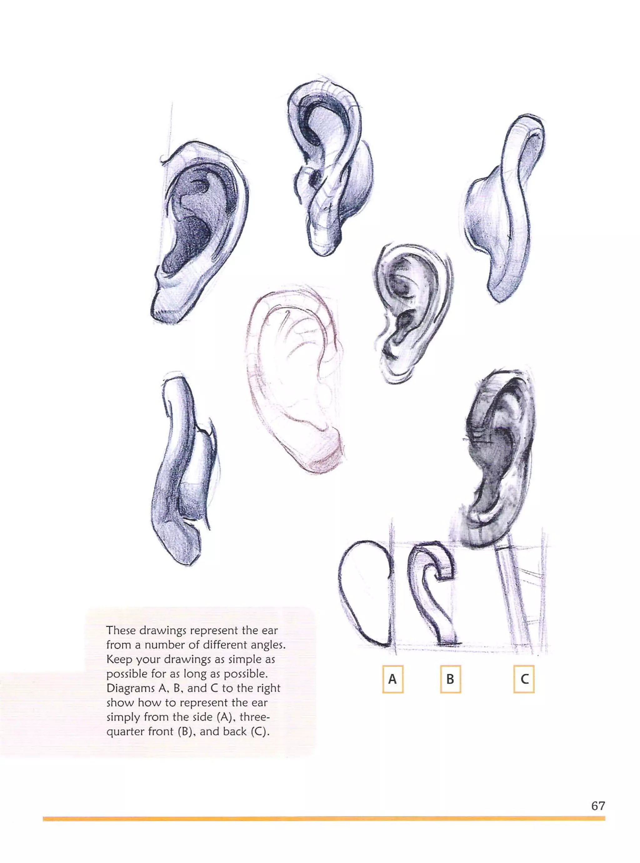 Michael hampton  figure drawing - design and invention