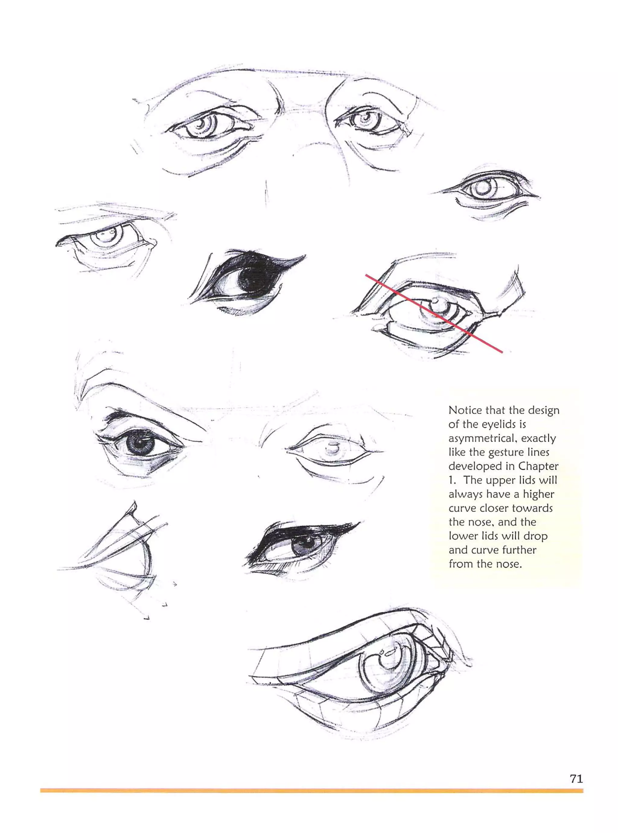 Michael hampton  figure drawing - design and invention