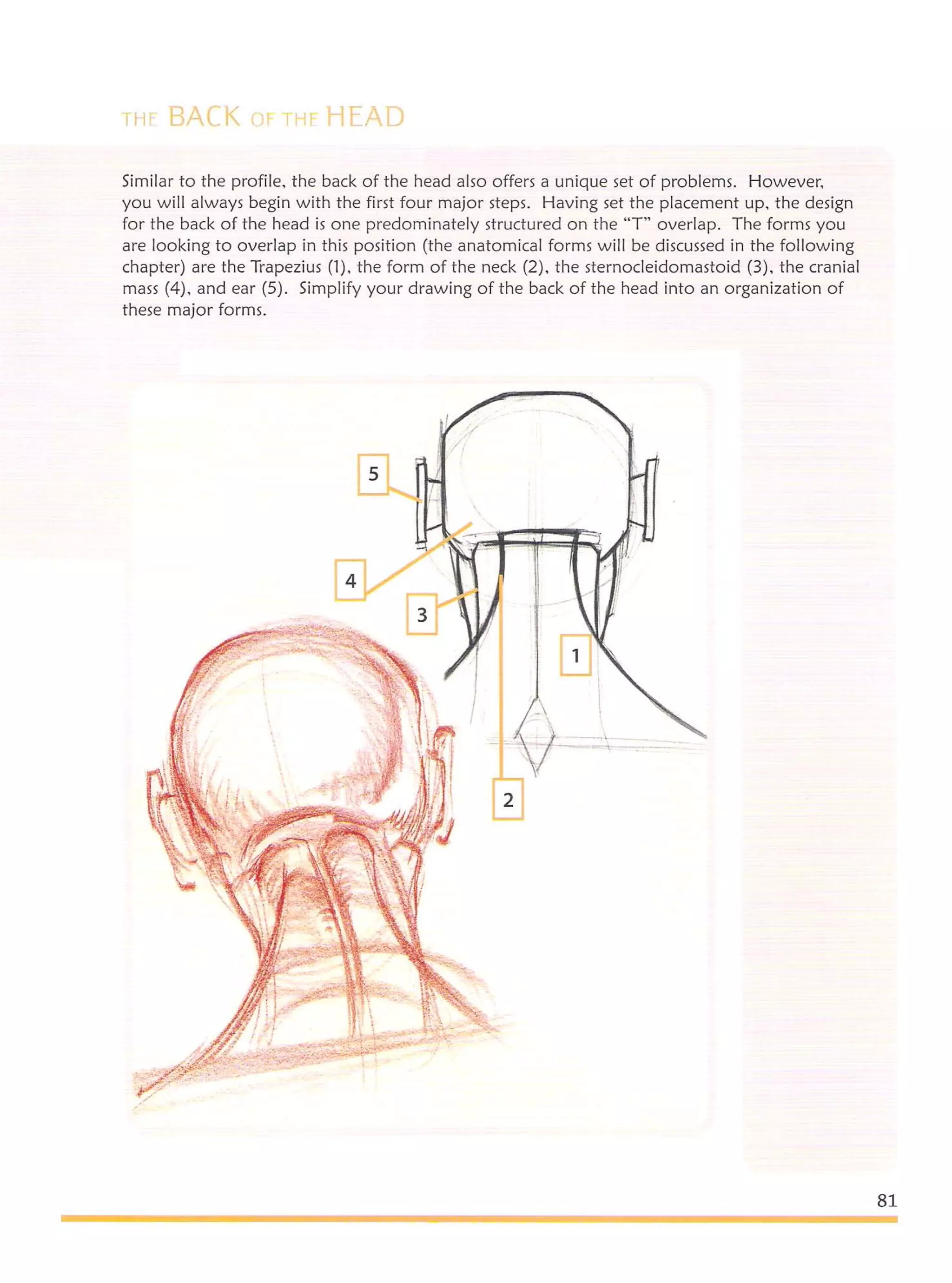 Michael hampton  figure drawing - design and invention