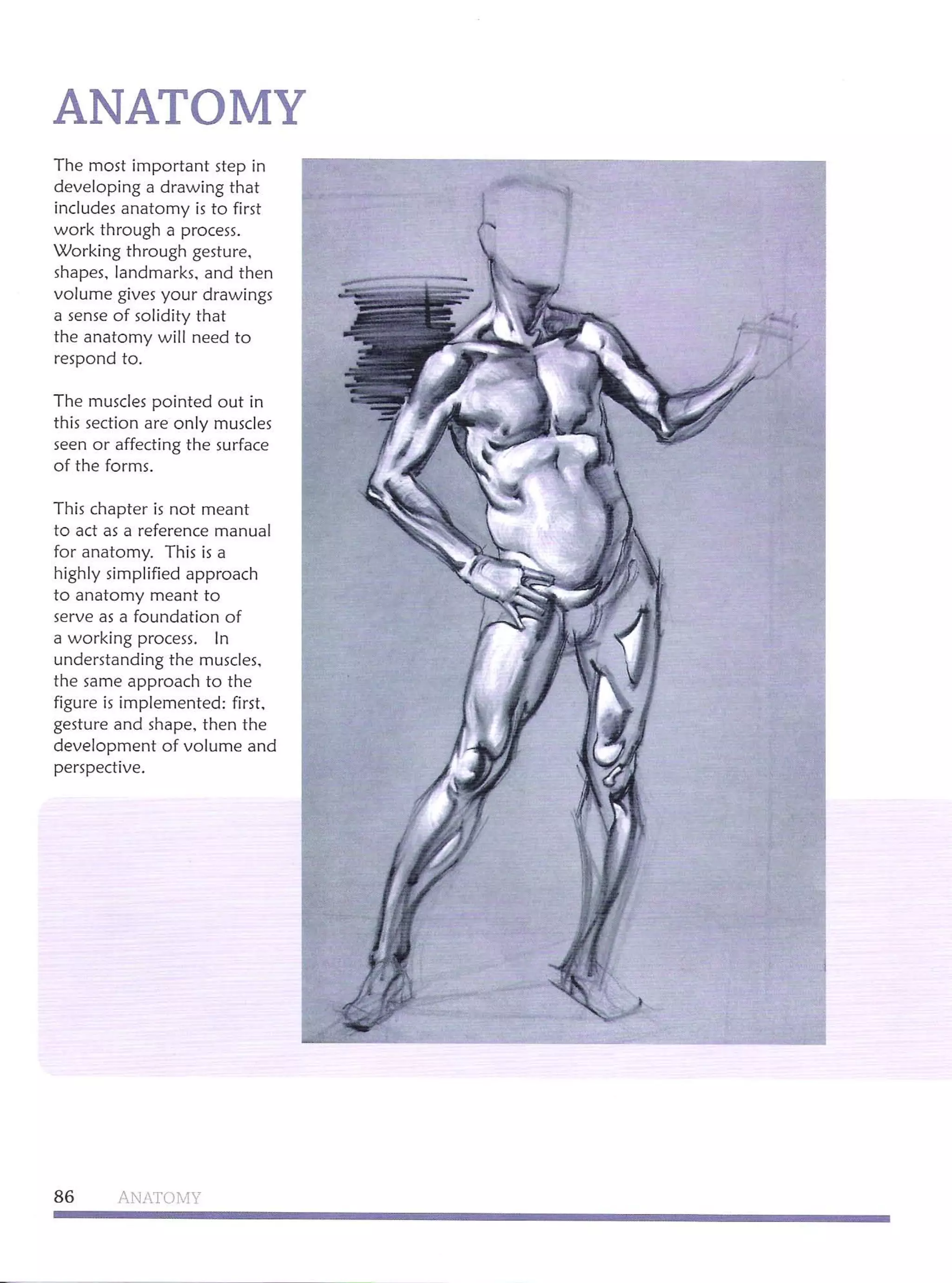 Michael hampton  figure drawing - design and invention