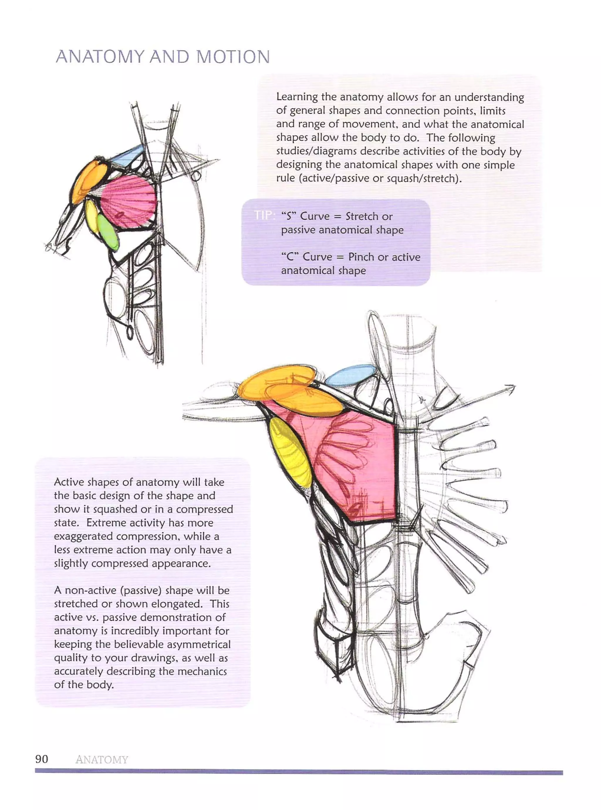 Michael hampton  figure drawing - design and invention