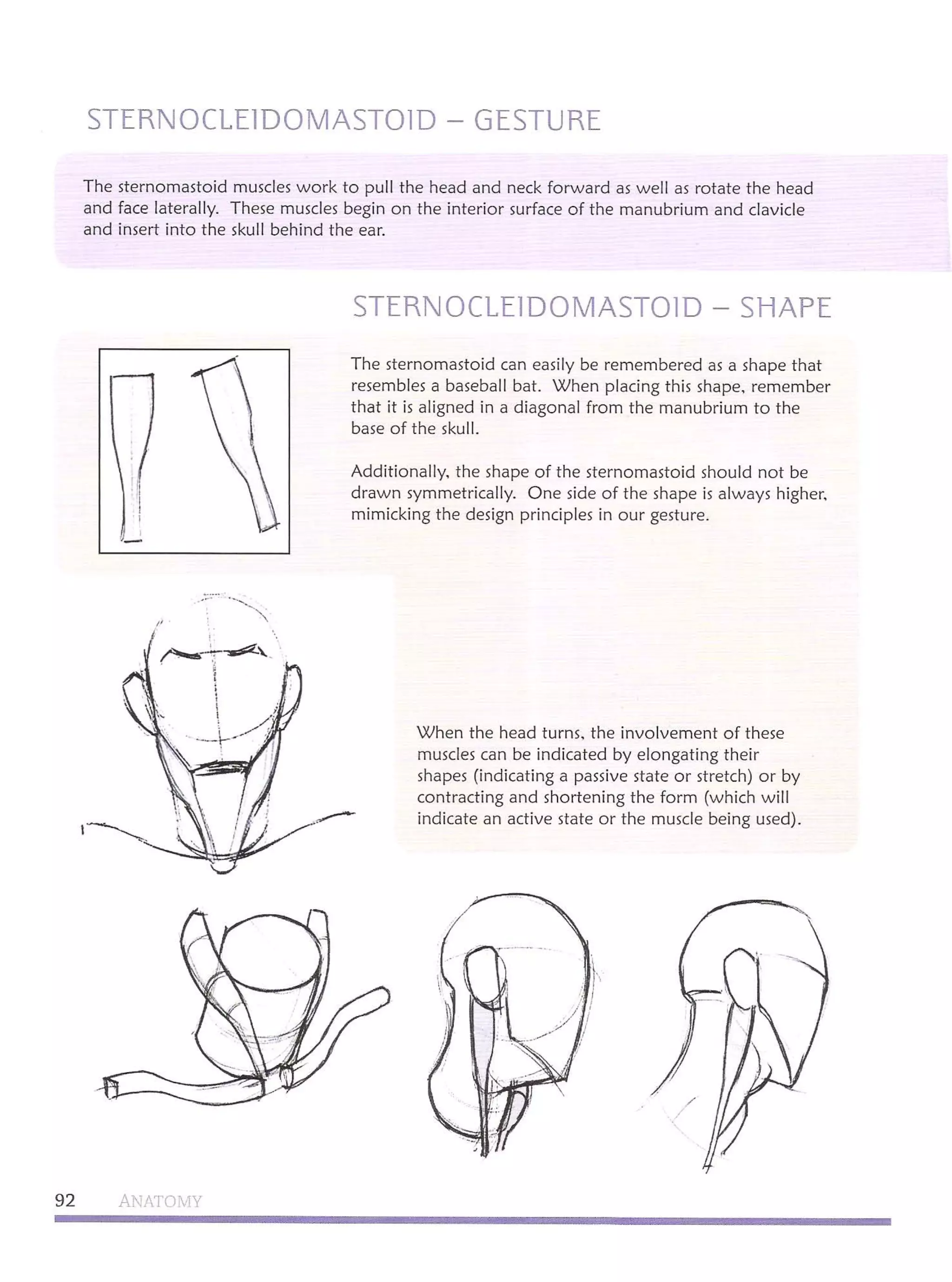 Michael hampton  figure drawing - design and invention