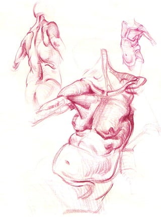 Michael hampton  figure drawing - design and invention