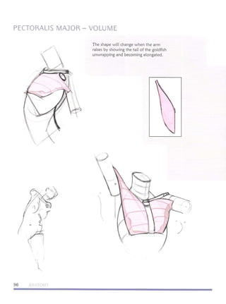 Michael hampton  figure drawing - design and invention