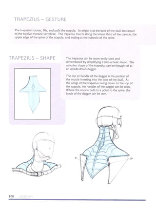 Michael hampton  figure drawing - design and invention