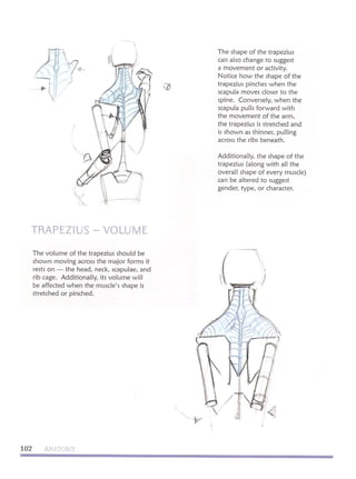 Michael hampton  figure drawing - design and invention