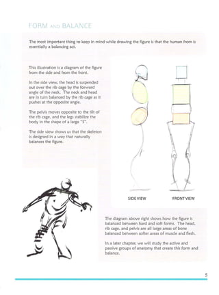 Michael hampton  figure drawing - design and invention