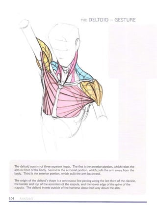 Michael hampton  figure drawing - design and invention