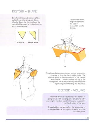 Michael hampton  figure drawing - design and invention