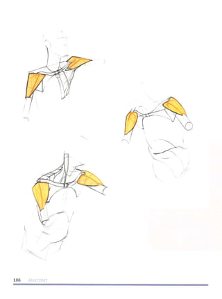 Michael hampton  figure drawing - design and invention