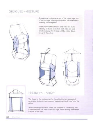 Michael hampton  figure drawing - design and invention