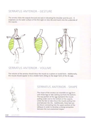 Michael hampton  figure drawing - design and invention