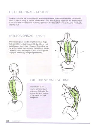 Michael hampton  figure drawing - design and invention